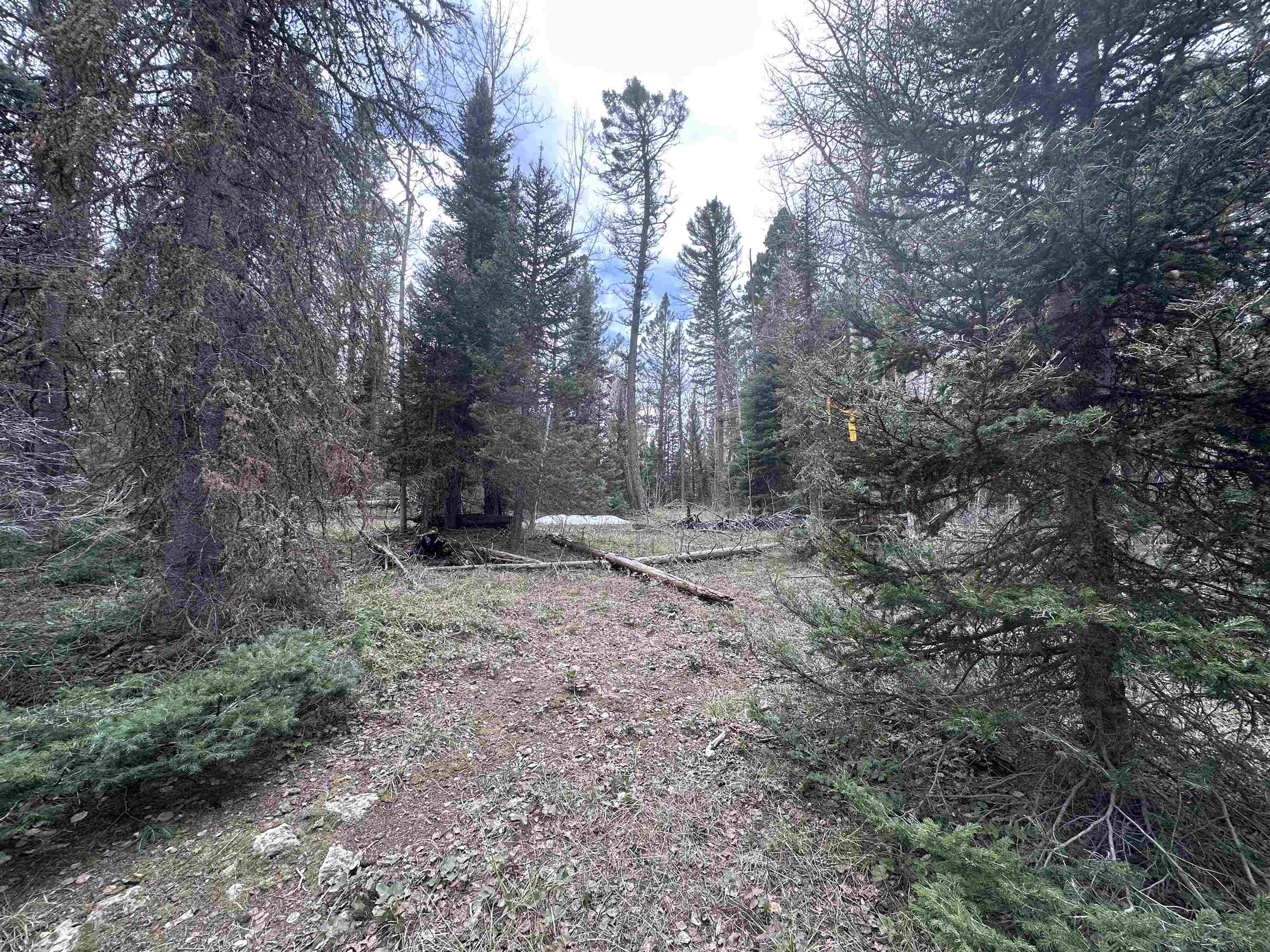 766 Crest Drive Property Photo 1