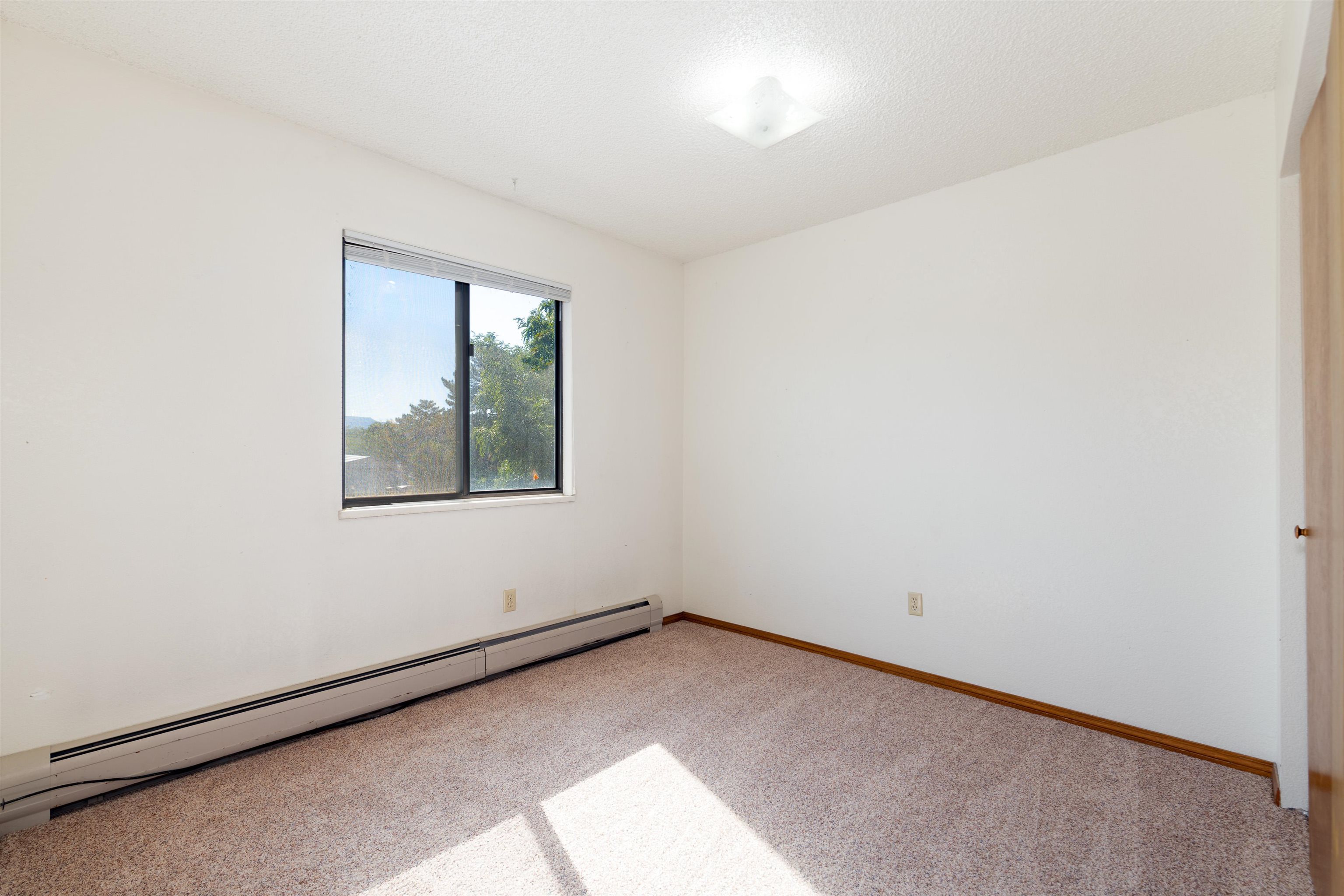 575 28 1/2 Road Property Photo 11