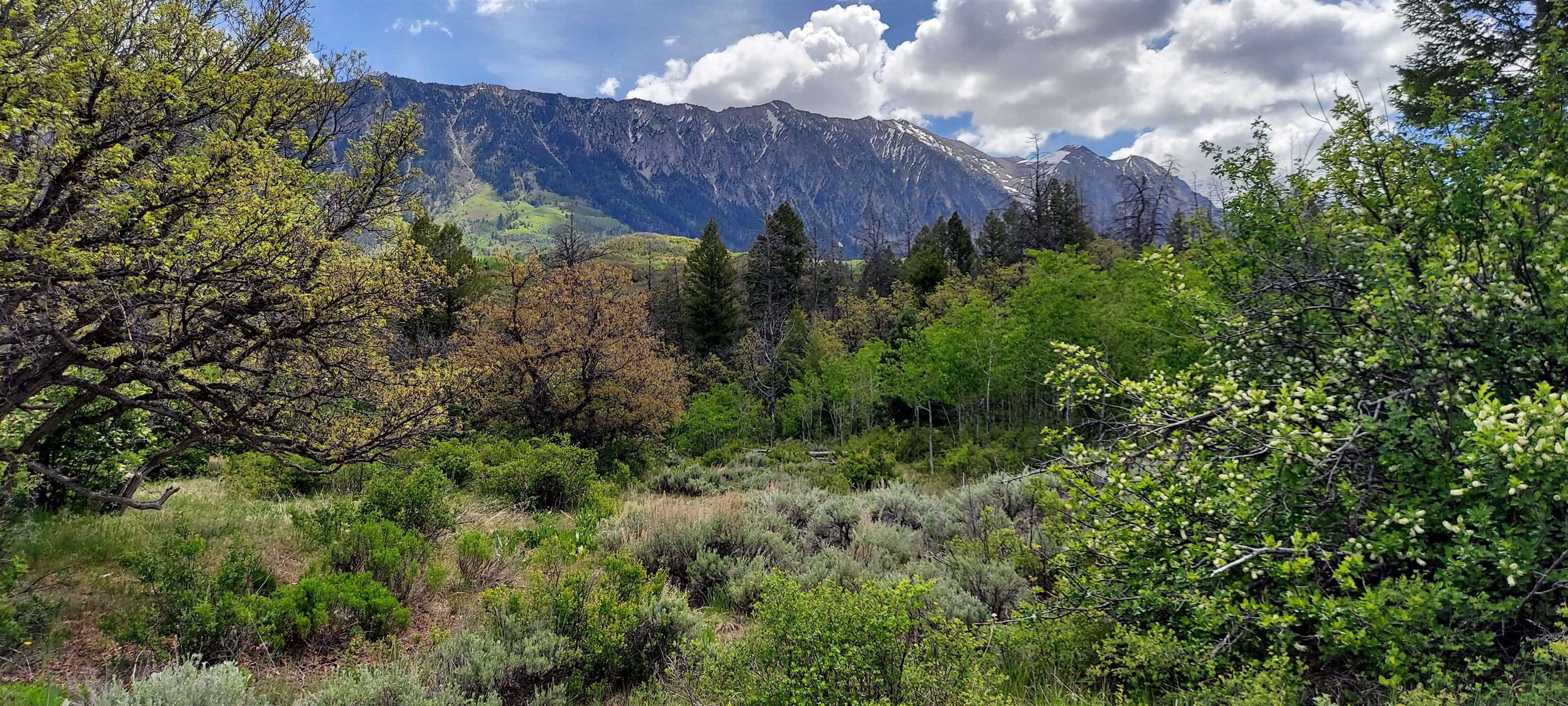 Tbd Highway 133 Property Photo 1