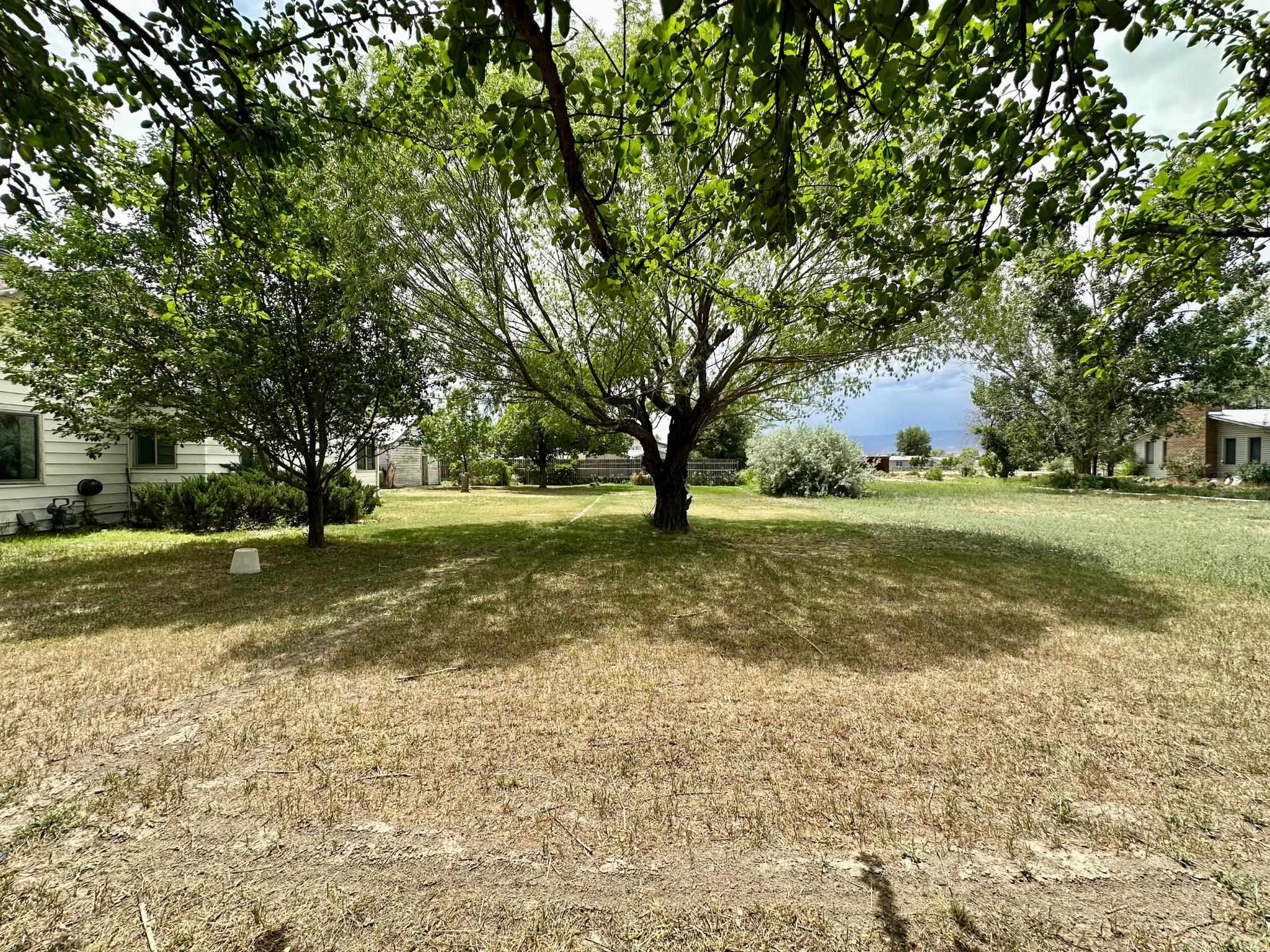 2983 D 1/2 Road Property Photo 33