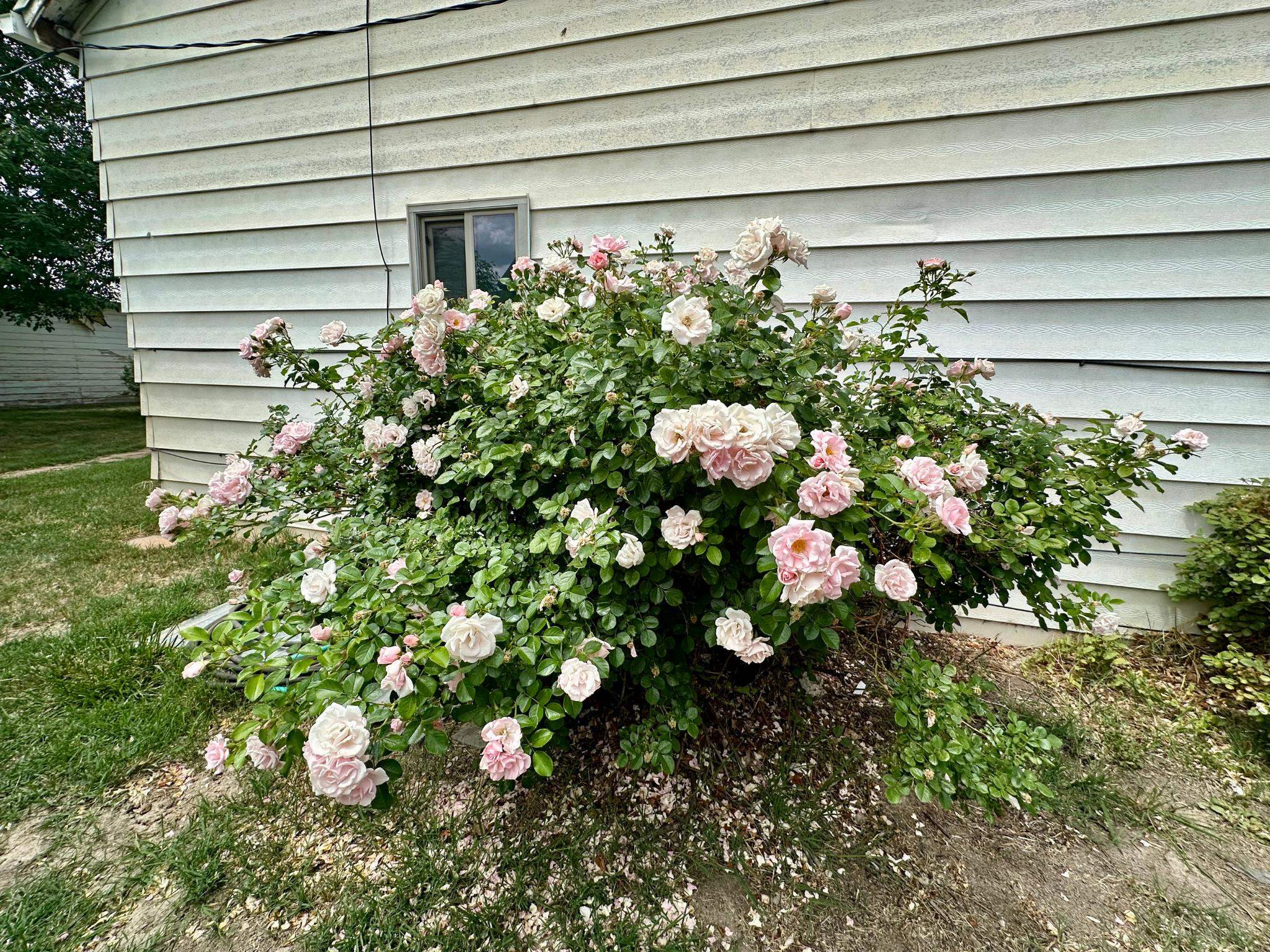 2983 D 1/2 Road Property Photo 36