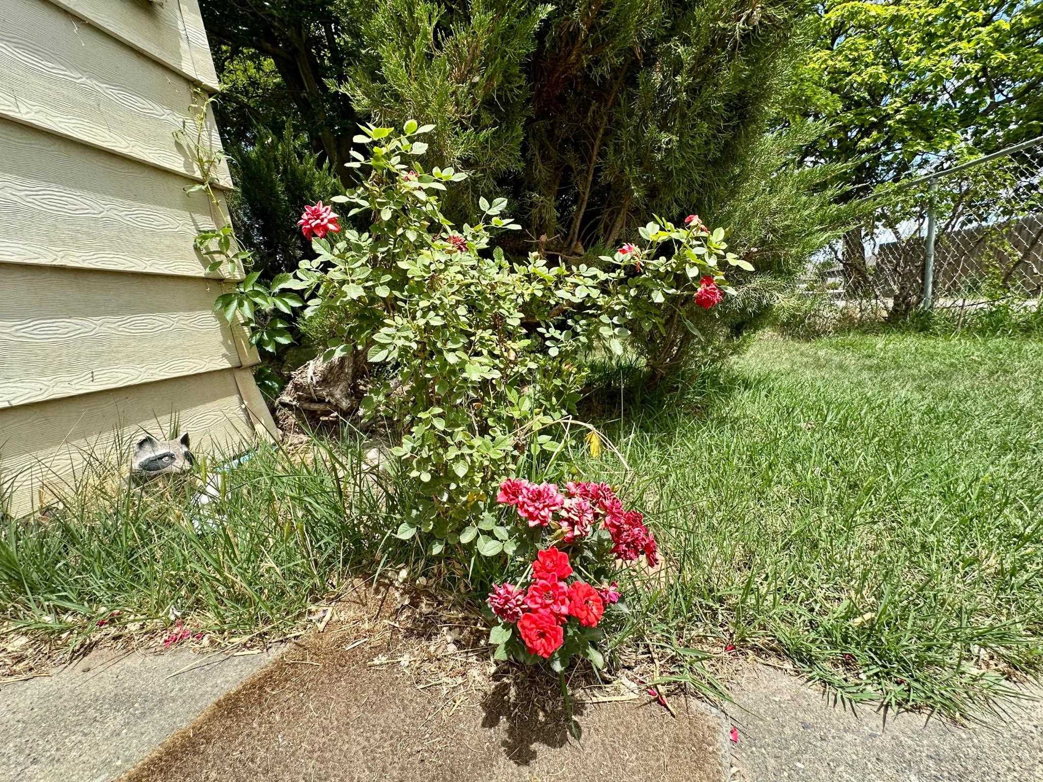 2983 D 1/2 Road Property Photo 37