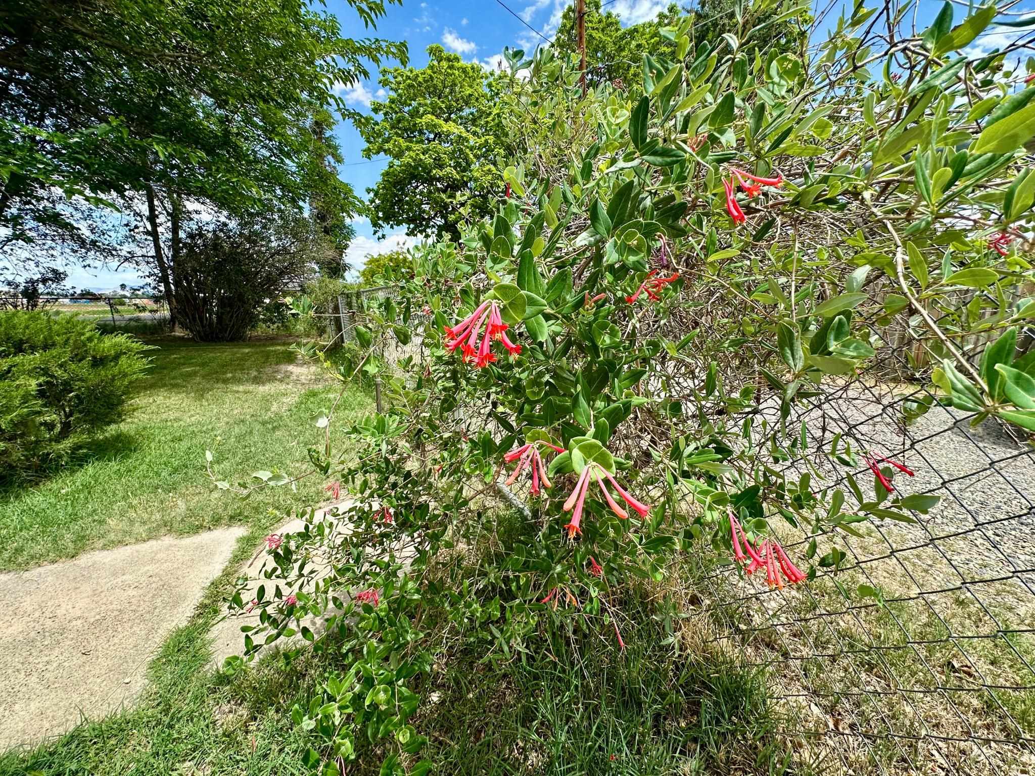 2983 D 1/2 Road Property Photo 38