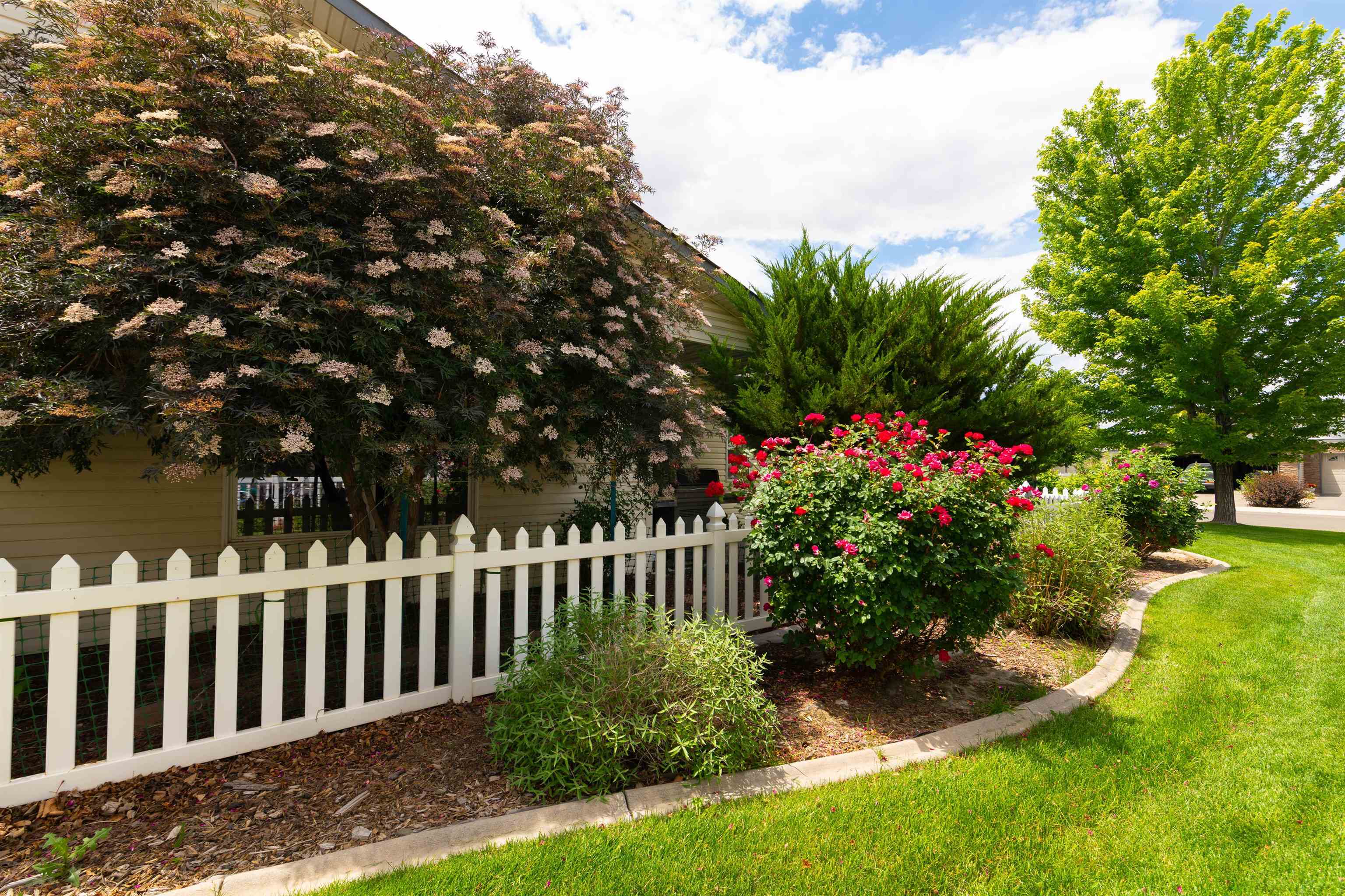 578 1/2 Willoughby Street Property Photo 23