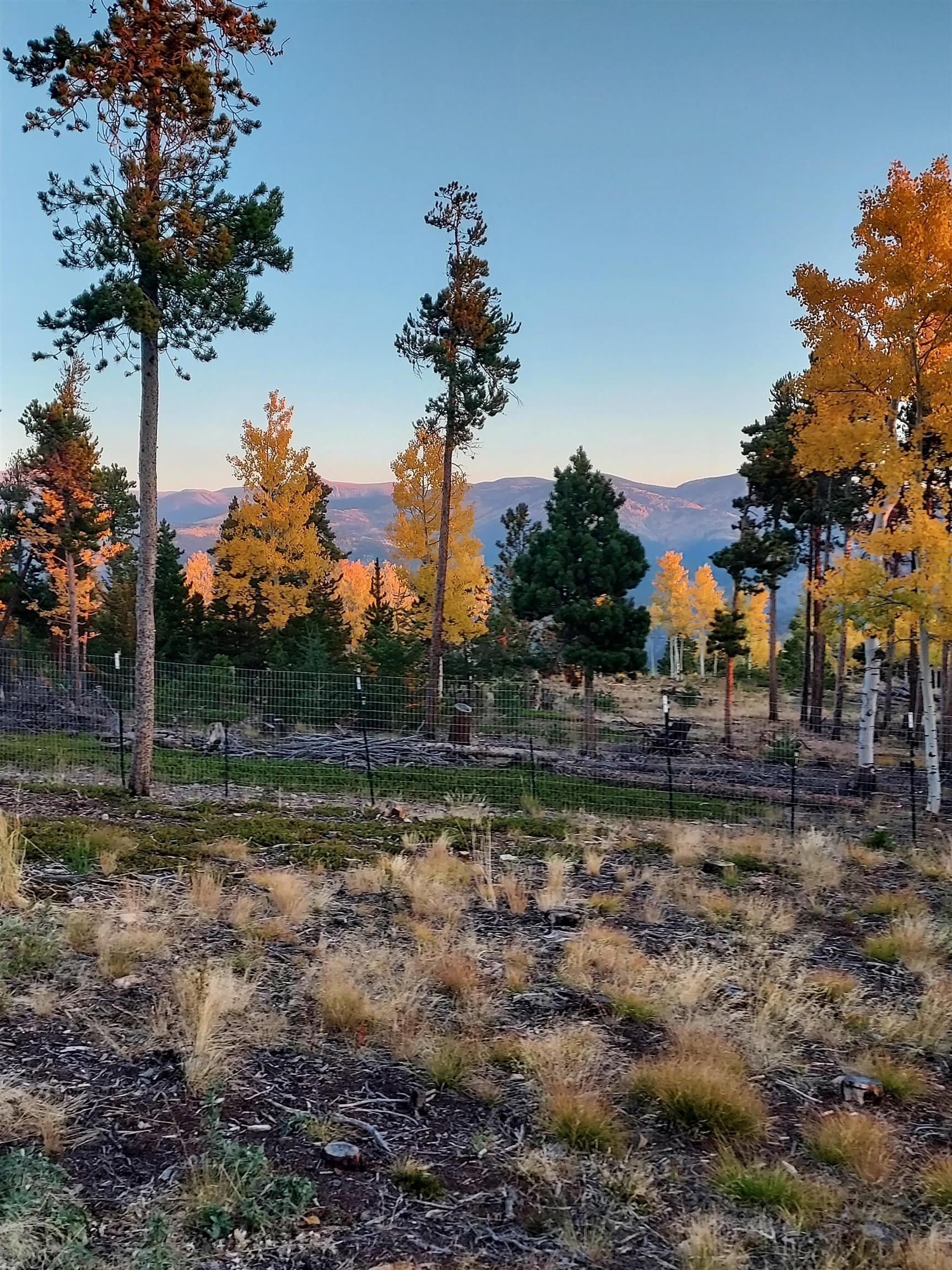 Tbd Miners Candle Road Property Photo 1