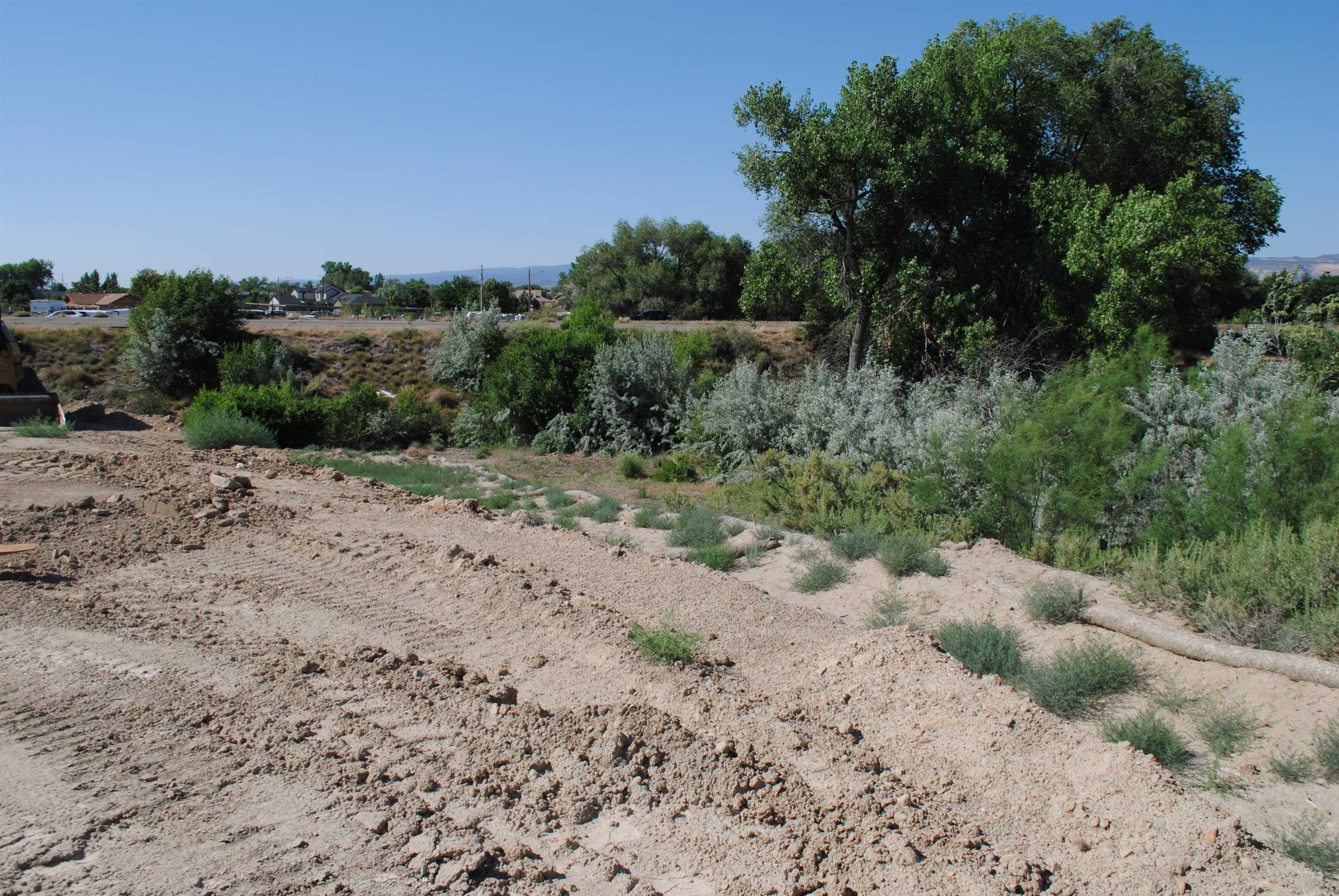 2599 Maroon Creek Court Property Photo 12
