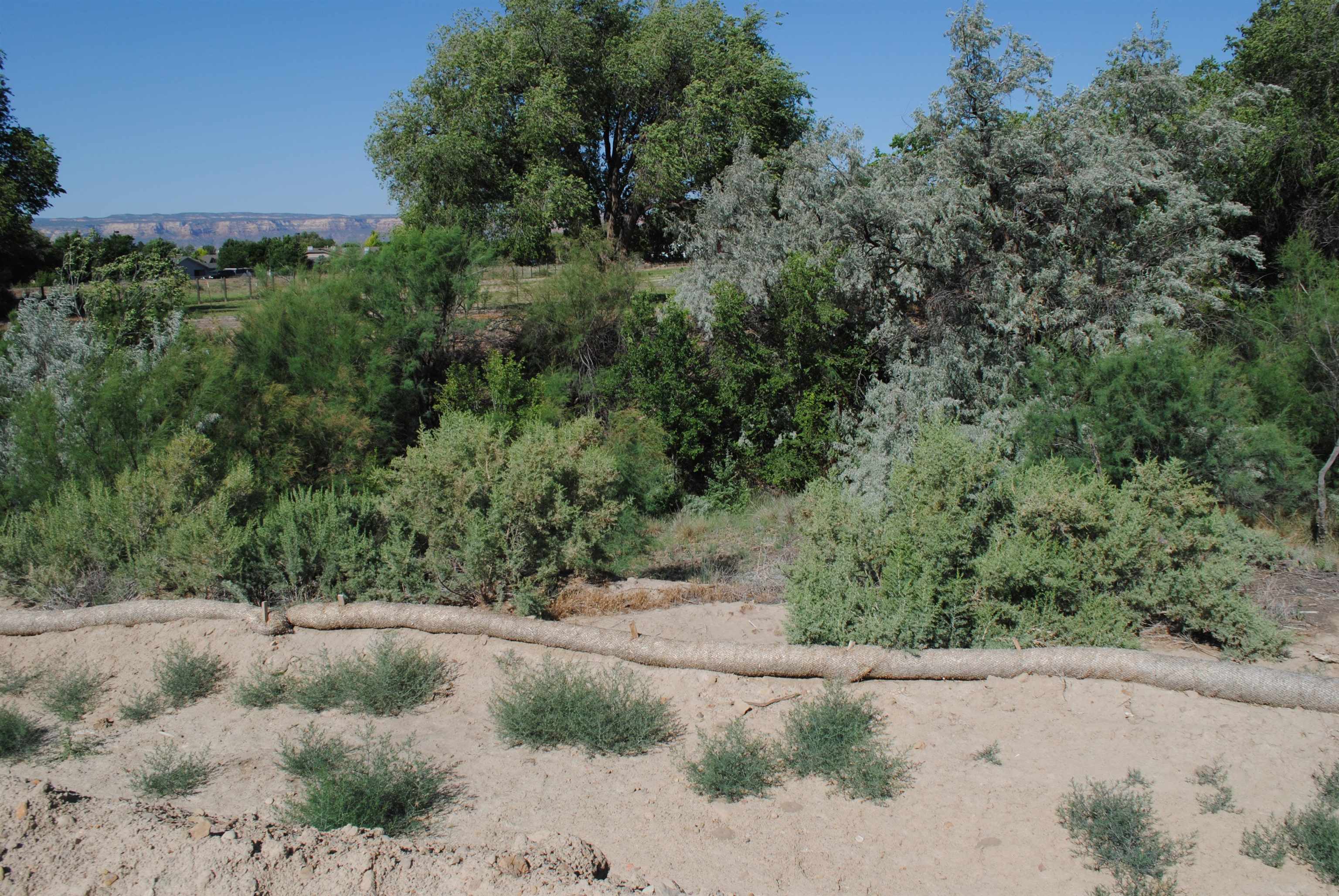 2592 Maroon Creek Court Property Photo 13