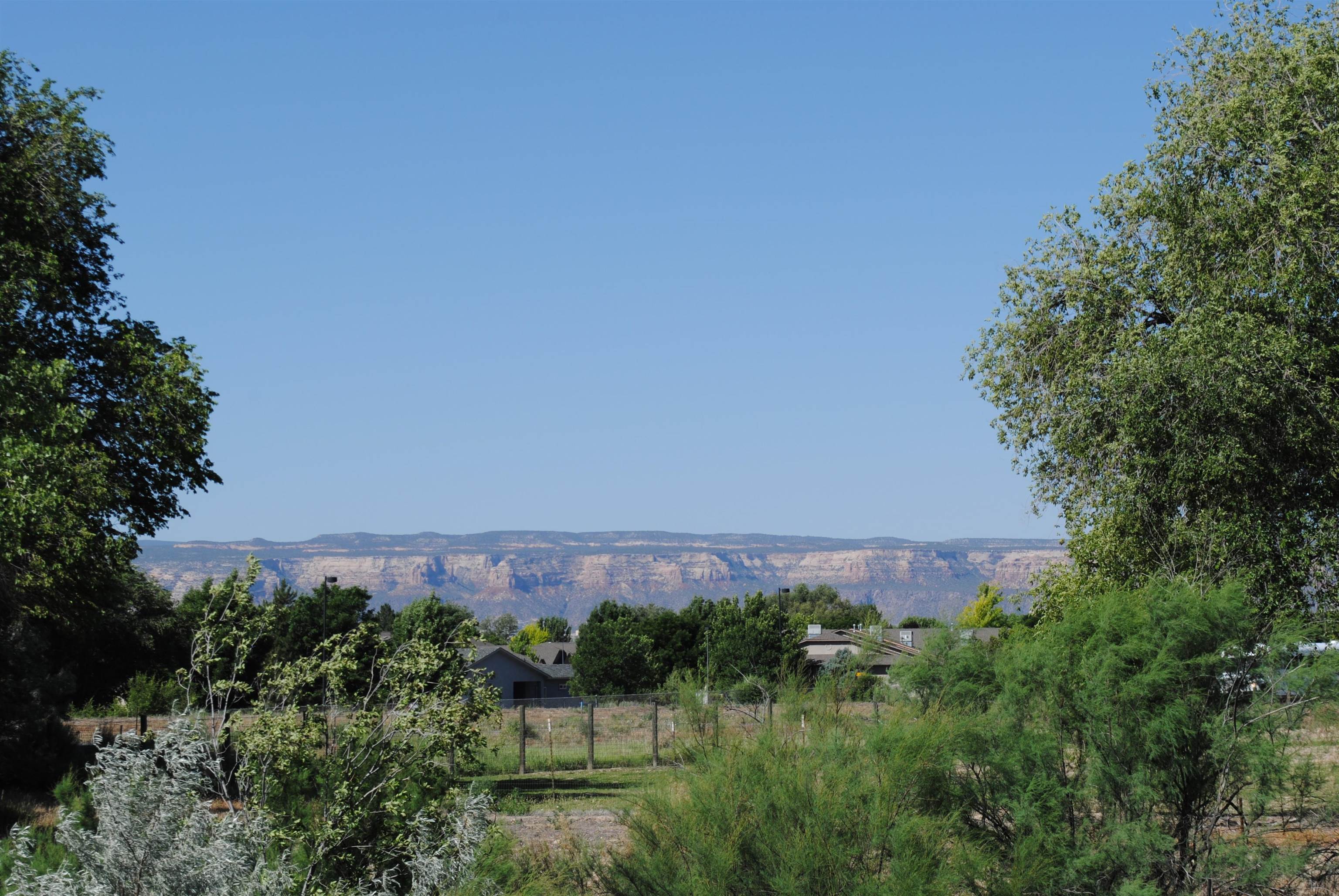 2598 Maroon Creek Court Property Photo 14