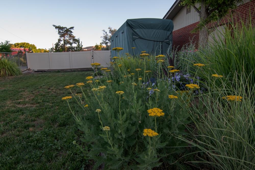 440 Meadows Way Property Photo 32