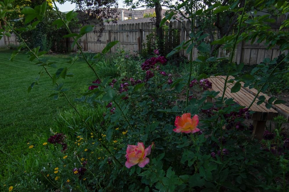440 Meadows Way Property Photo 33