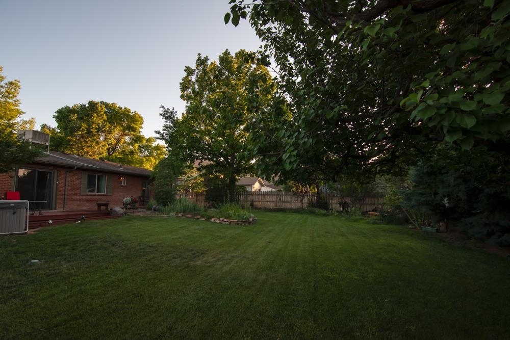 440 Meadows Way Property Photo 36