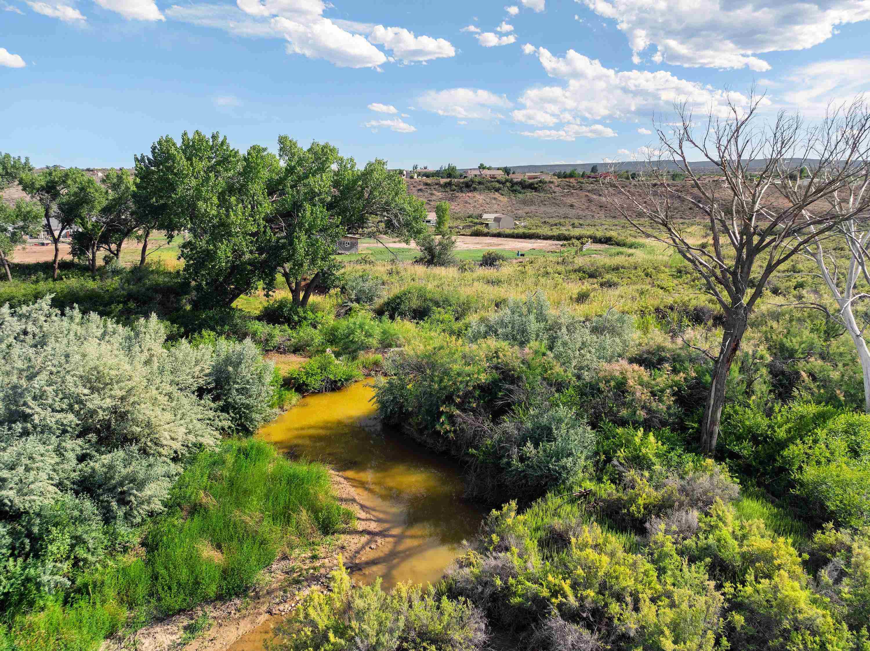 35330 Golden Eagle Court Property Photo 17