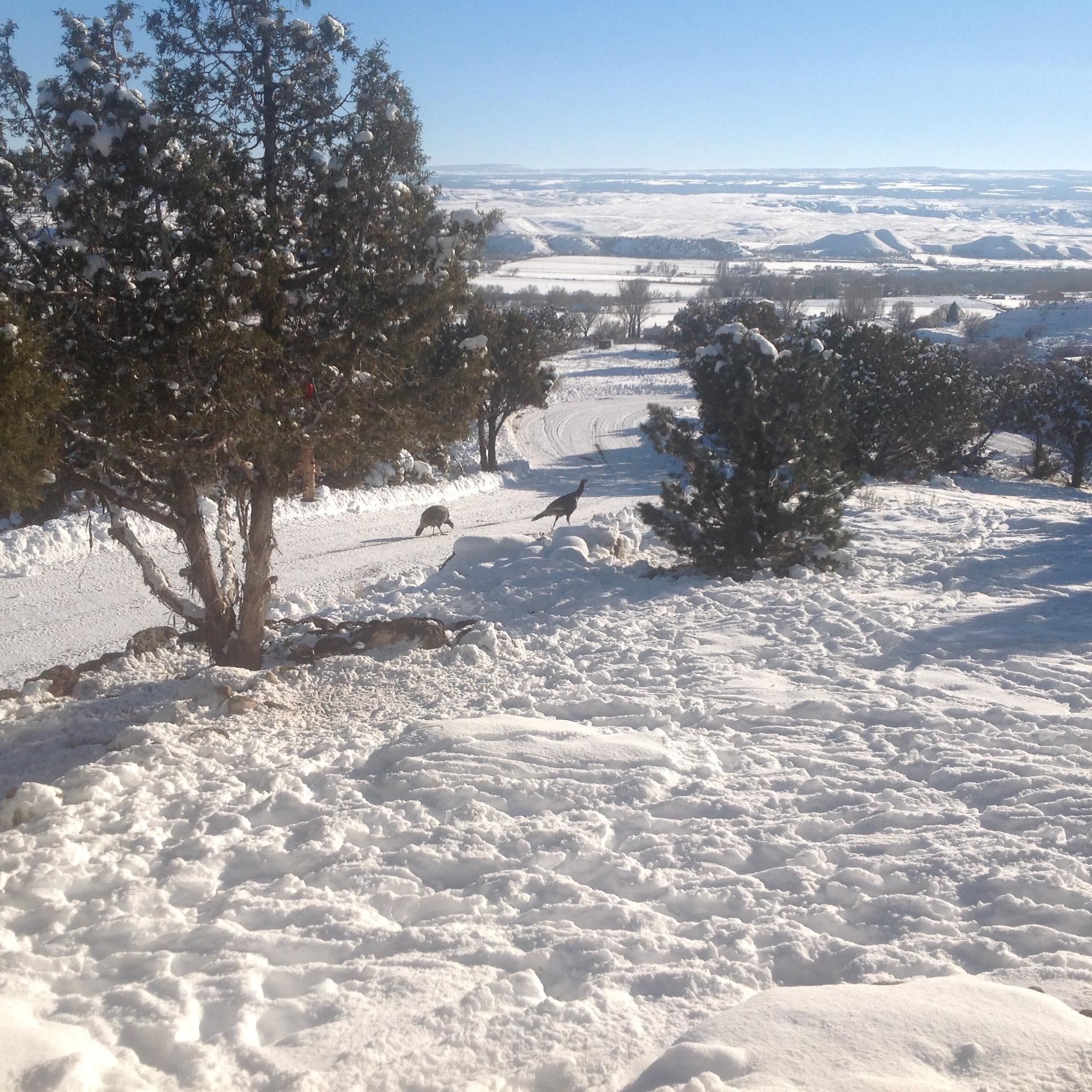 11762 3550 Road Property Photo 41