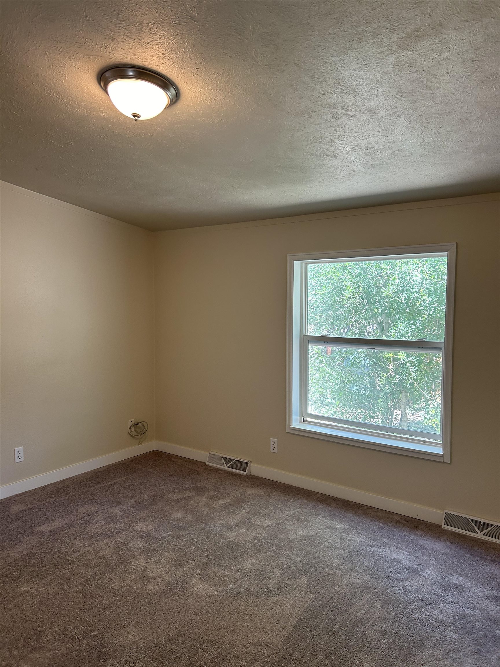 301 Pine Street Property Photo 6