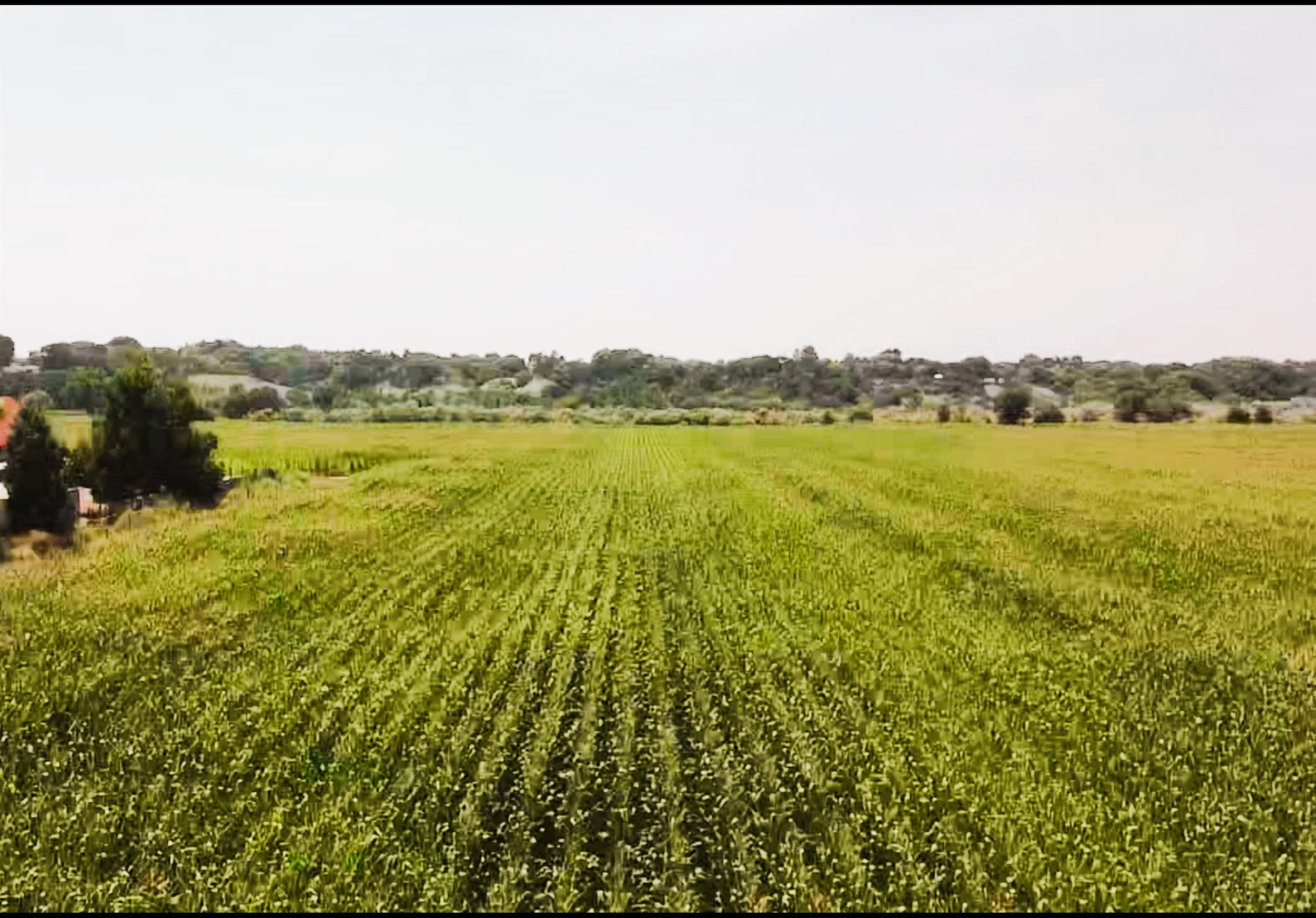 Tbd 1600 Road Property Photo 1