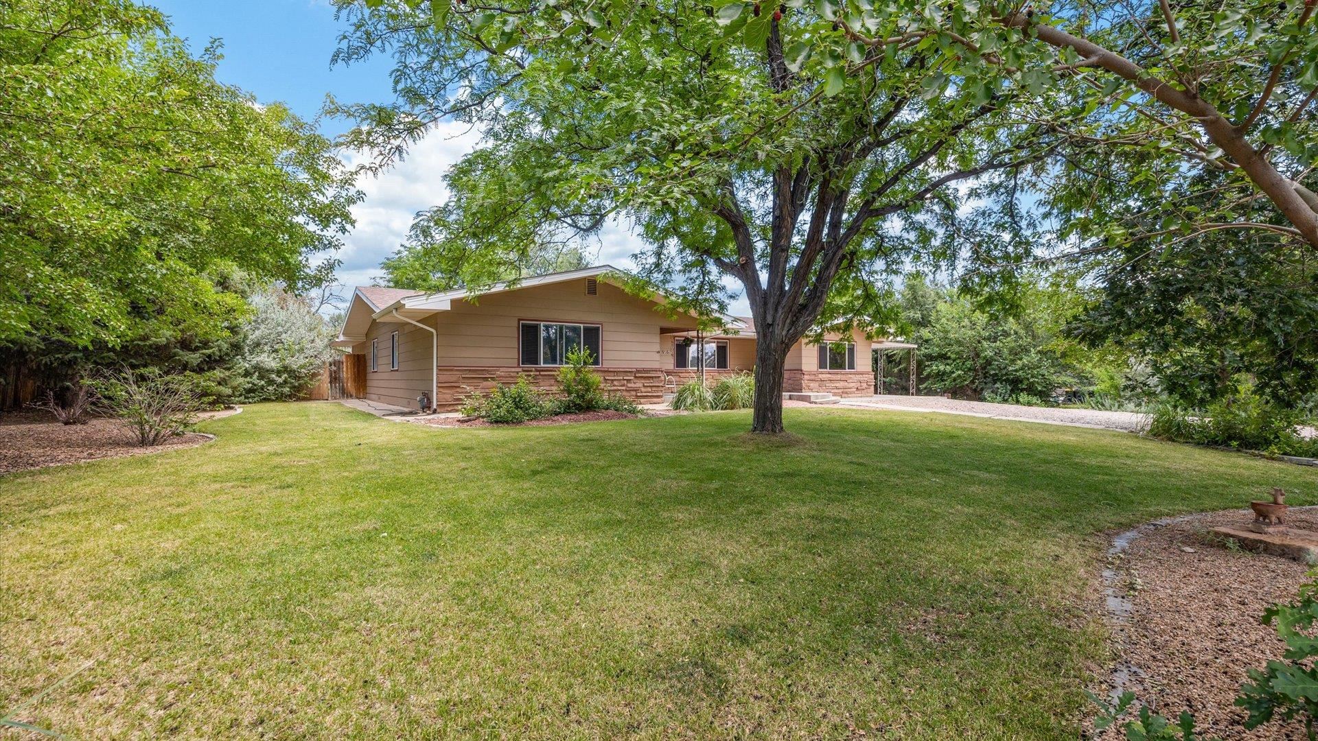 696 Cloverdale Drive Property Photo 5