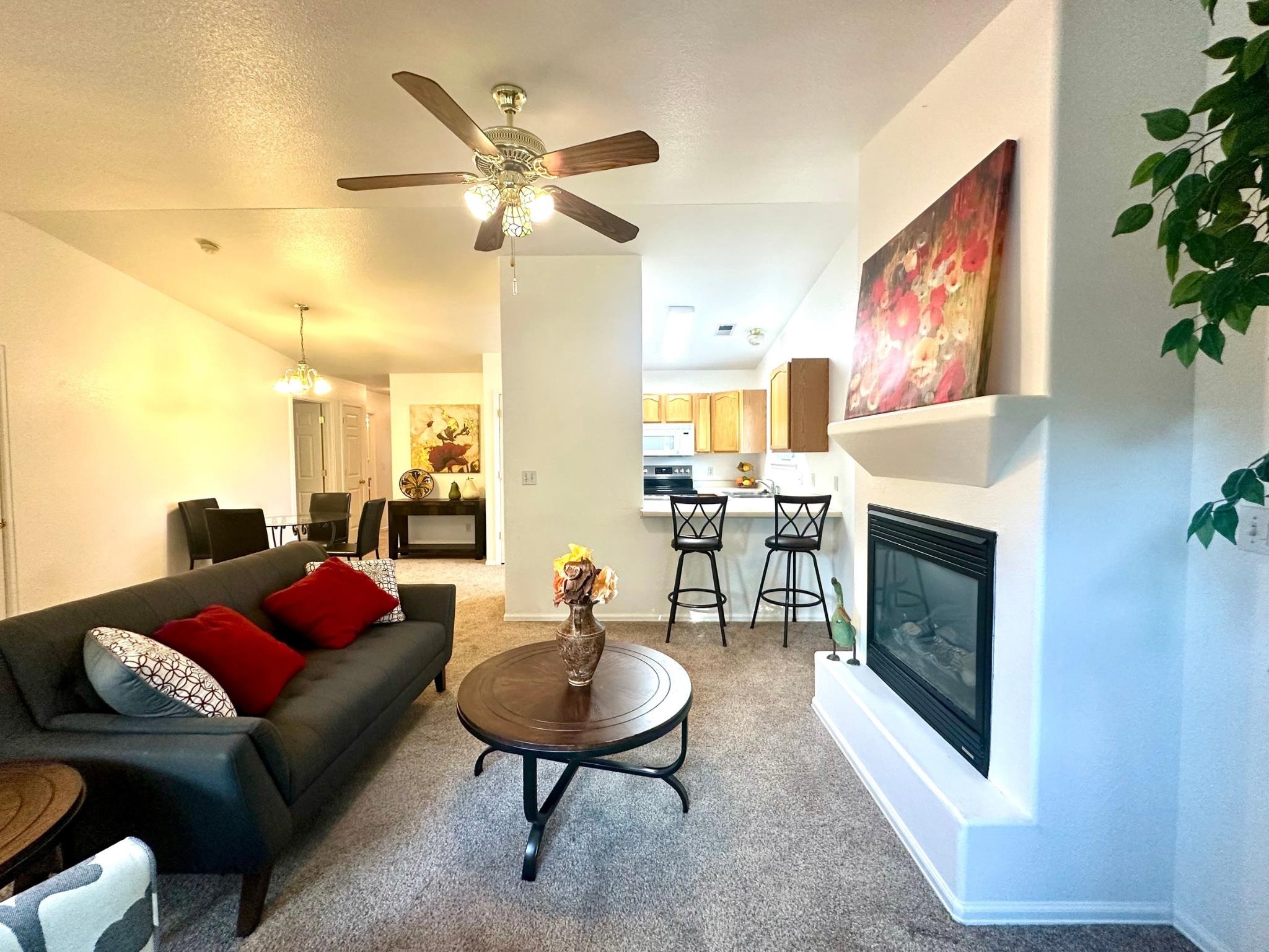 656 Springbrook Drive Property Photo 4