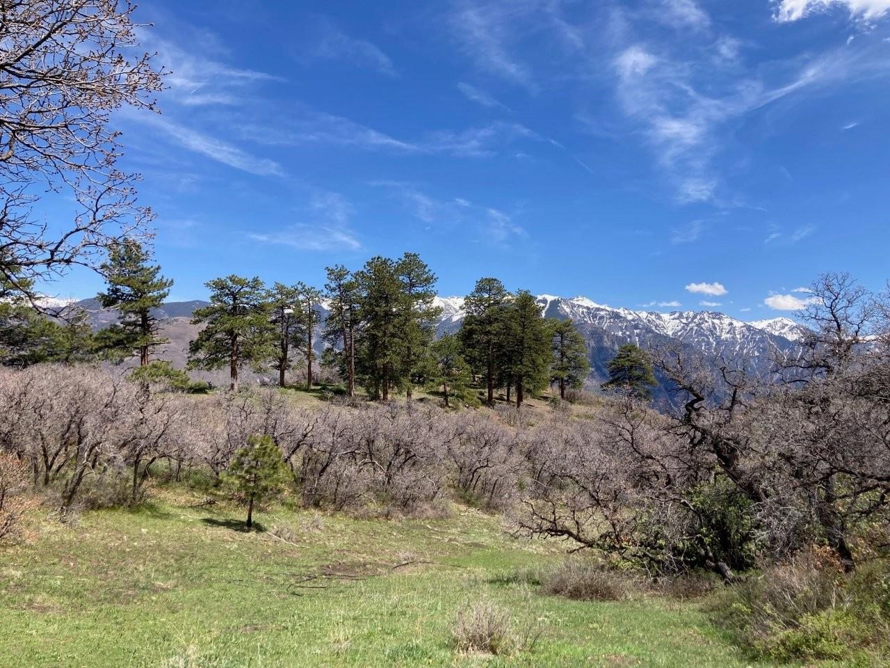 1600 (2parcels) Elk Ridge Trail Property Photo 34