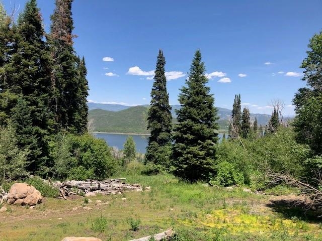Tbd Overlook Drive Property Photo 1