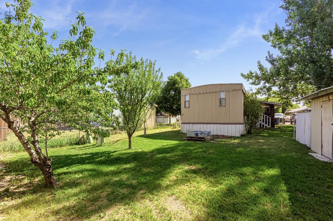 585 25 1/2 Road Property Photo 18