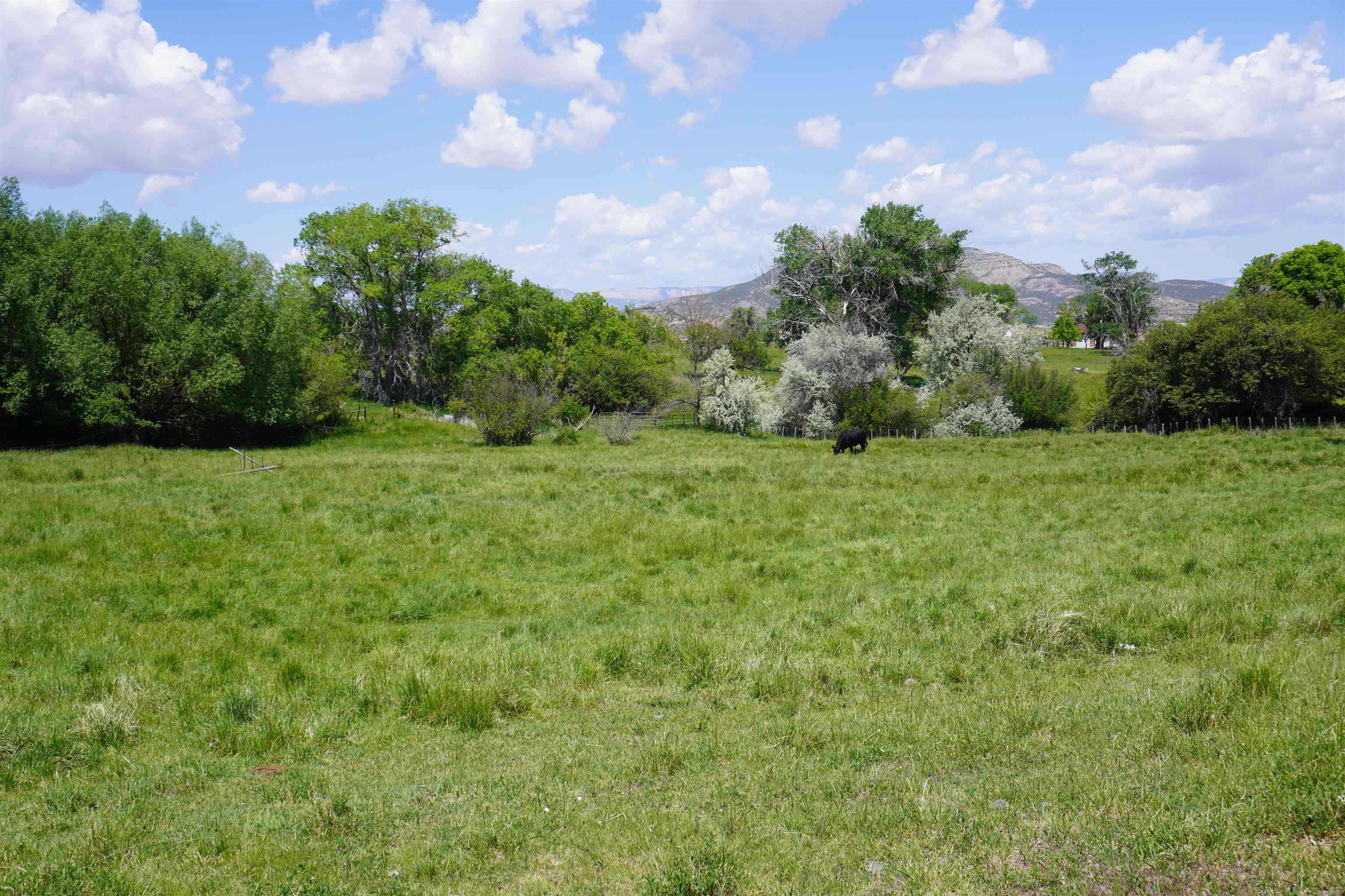 49594 Ke Road Property Photo 3