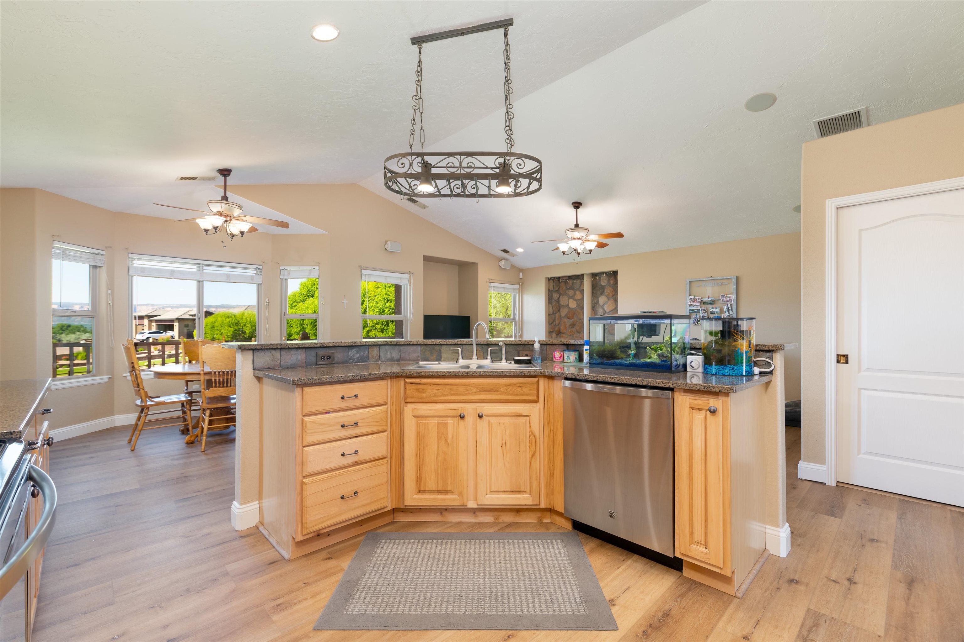 1005 Pritchard Mesa Court Property Photo 3