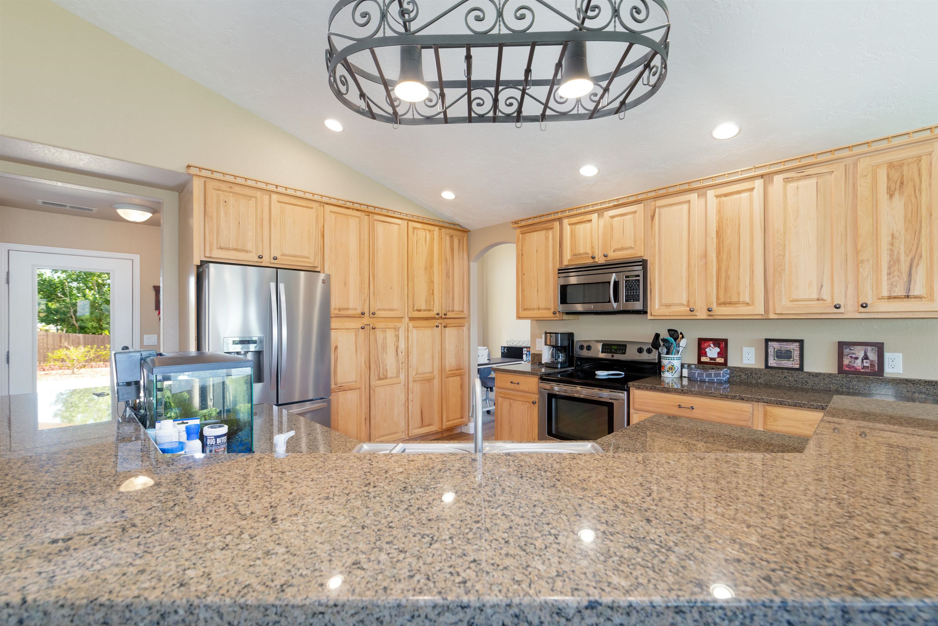 1005 Pritchard Mesa Court Property Photo 4