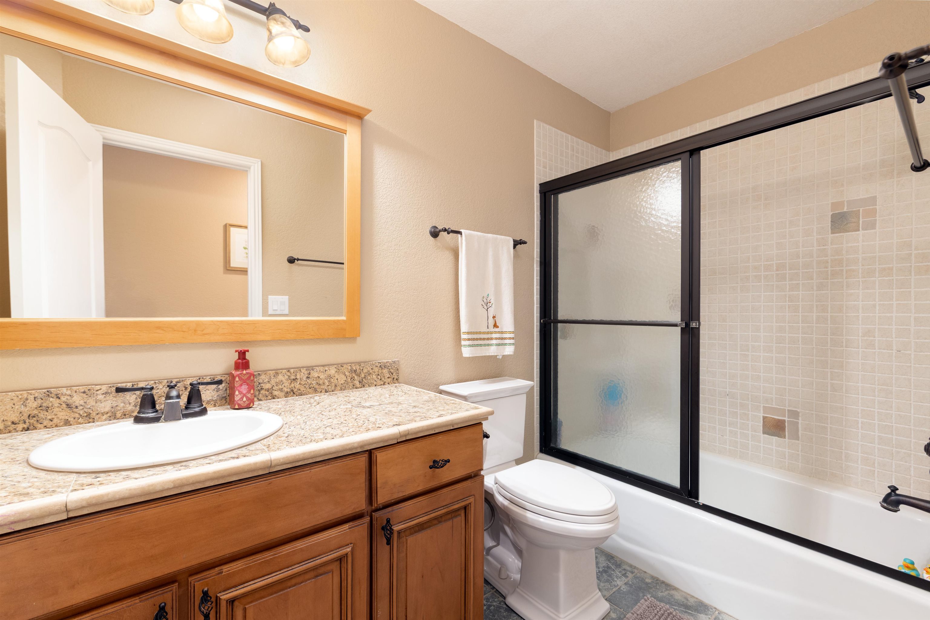 1005 Pritchard Mesa Court Property Photo 12