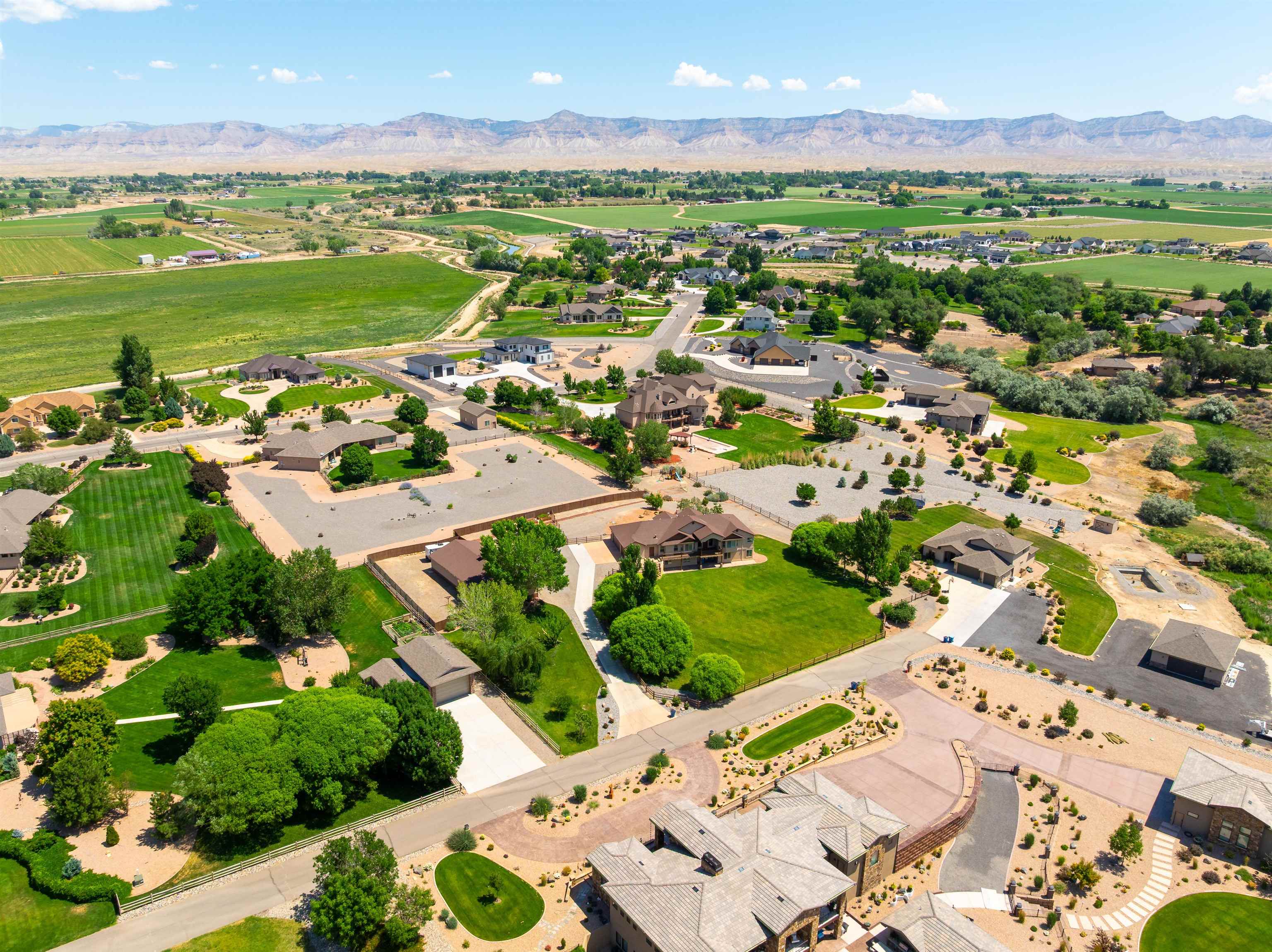 1005 Pritchard Mesa Court Property Photo 39