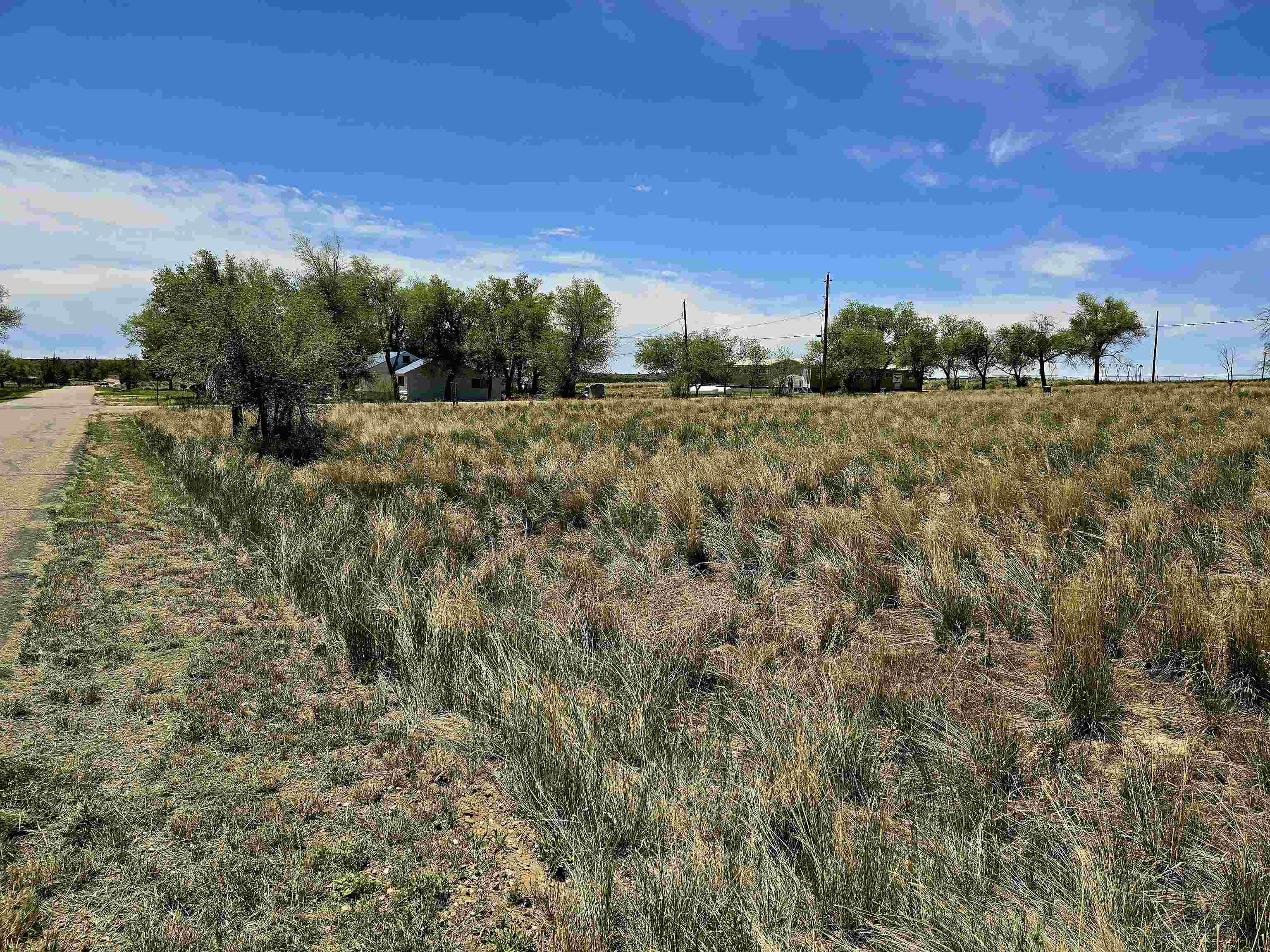 300 W 4th Street Property Photo 5