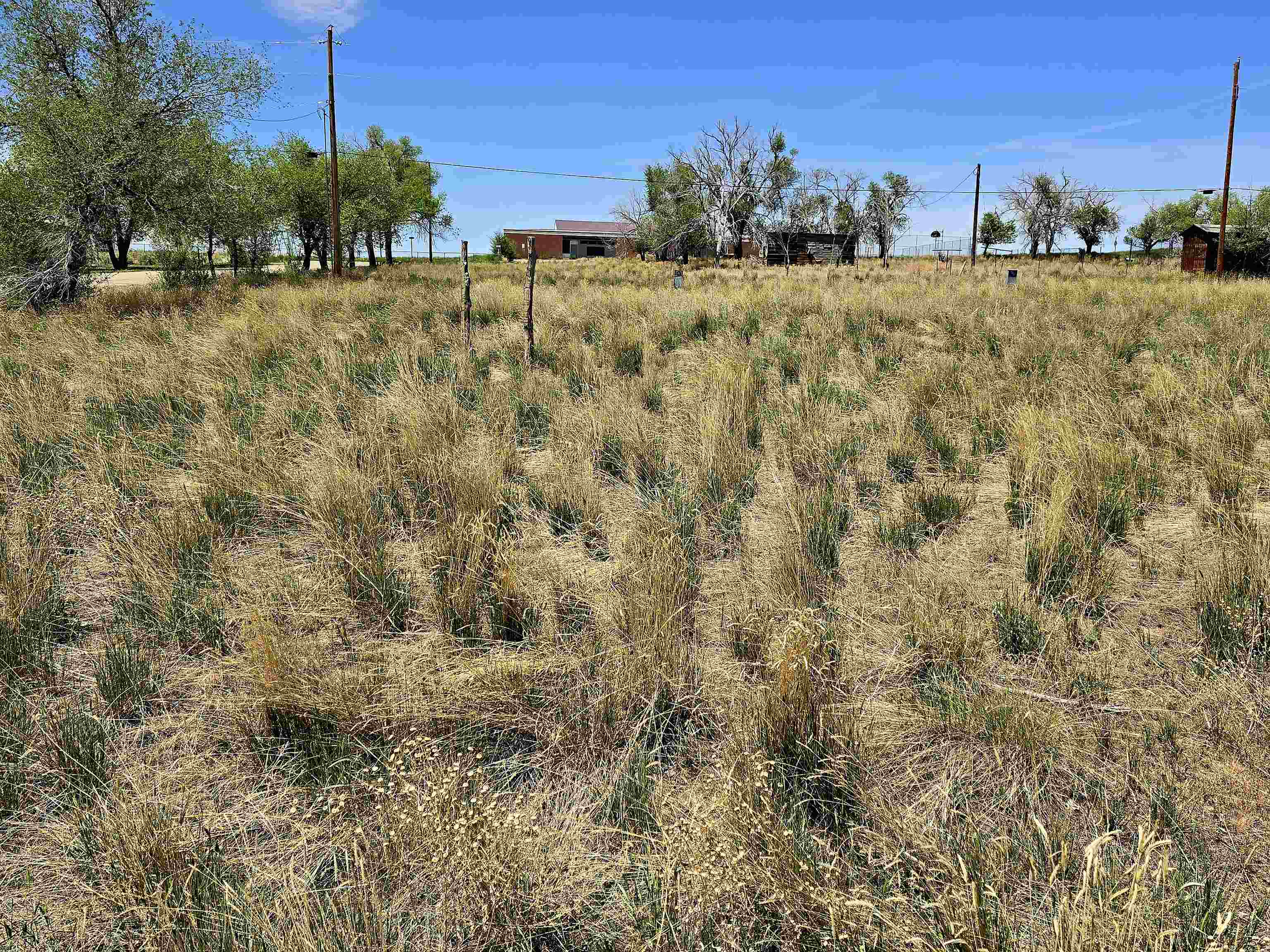 300 W 4th Street Property Photo 10
