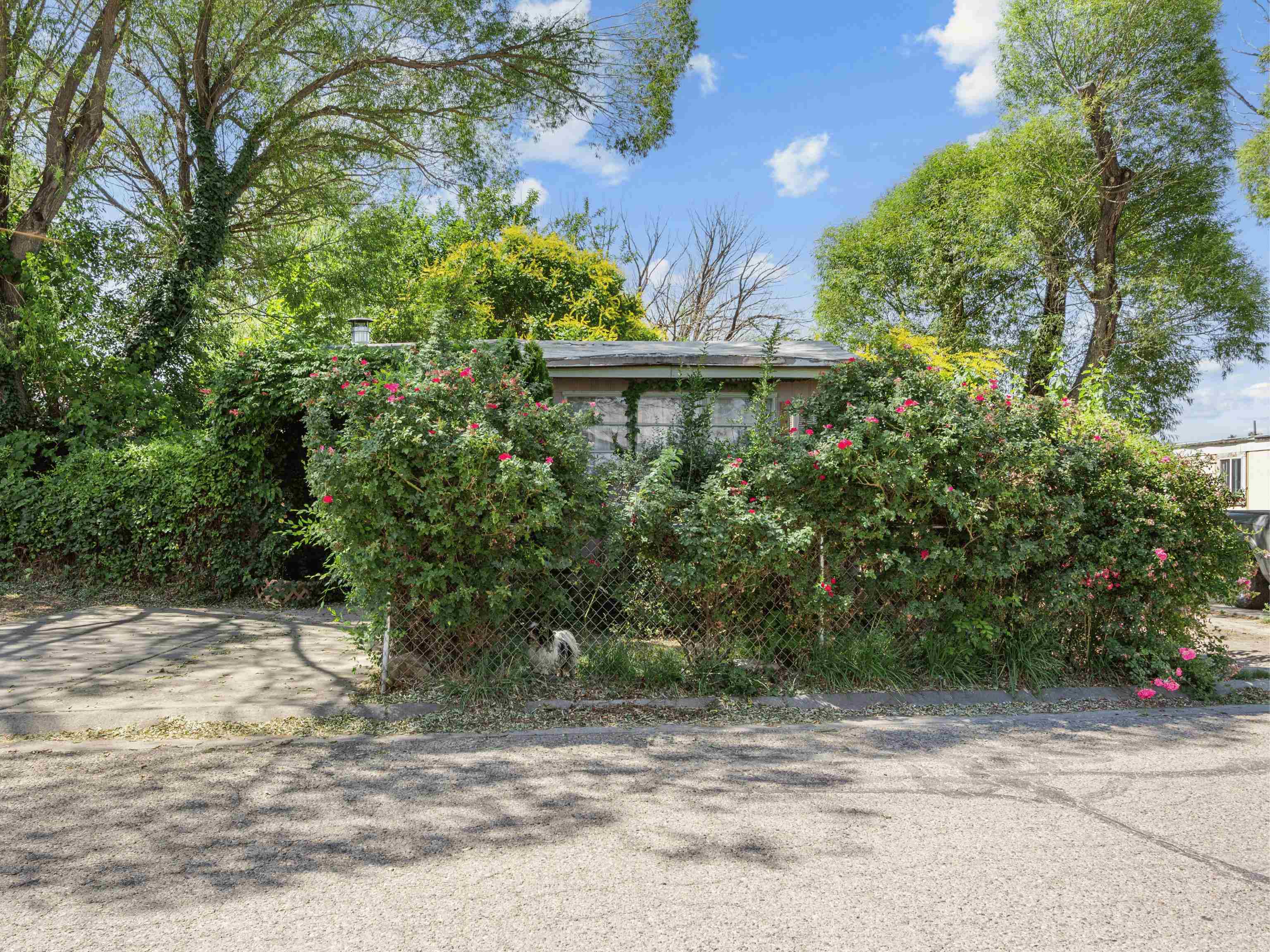 516 31 1/2 Road Property Photo 18