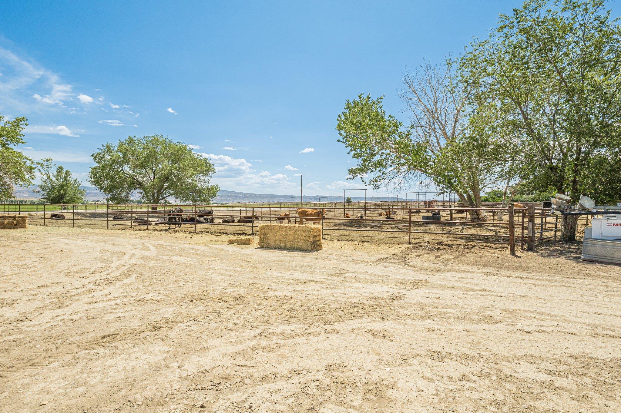 1550 P Road Property Photo 39