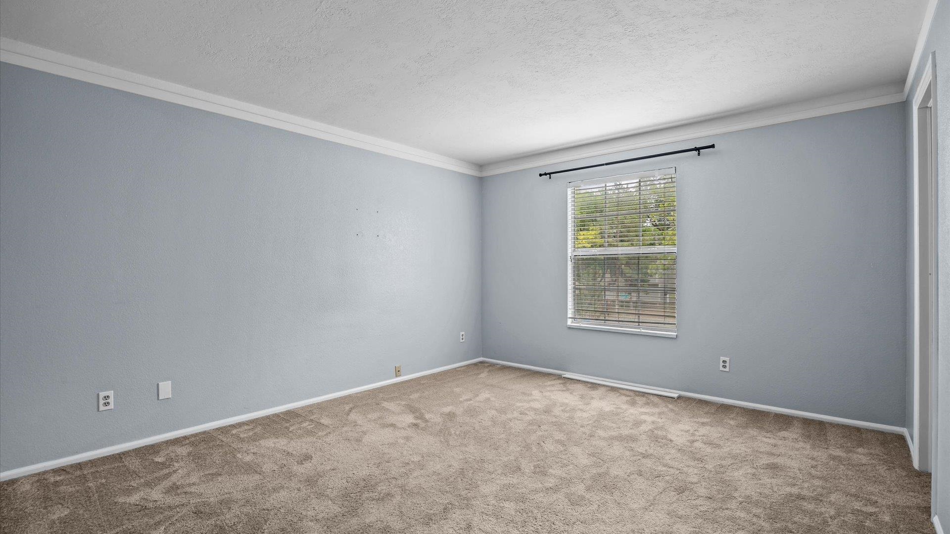 3 Cognac Court Property Photo 13