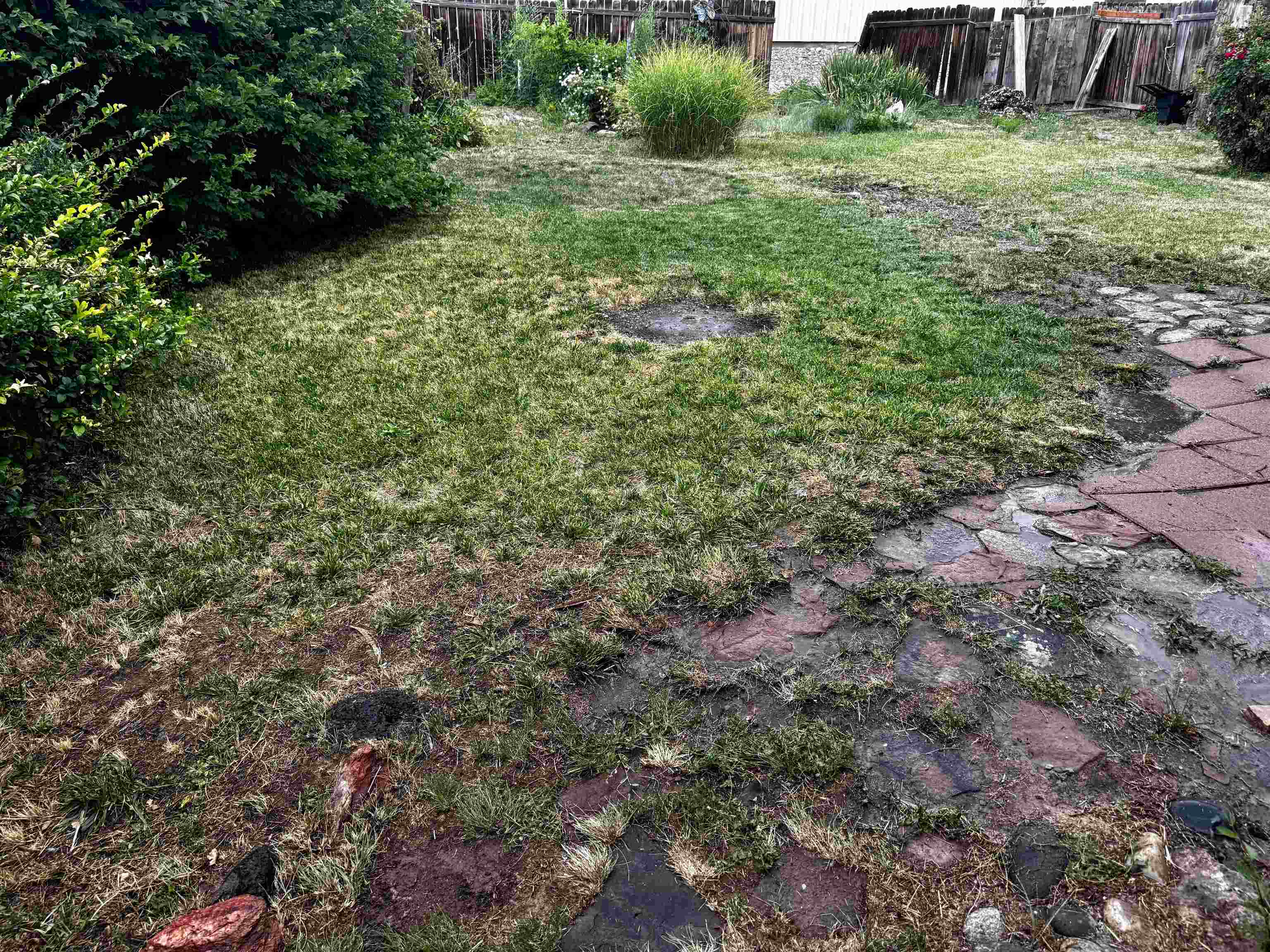 813 E Cleveland Avenue Property Photo 2