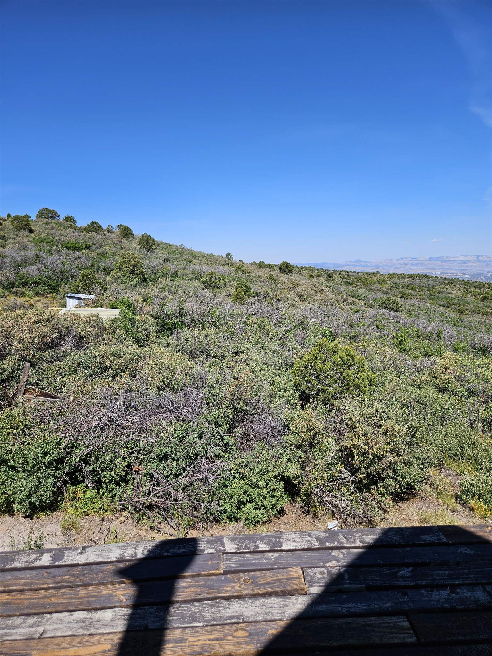 Tbd Bull Basin Road Property Photo 12