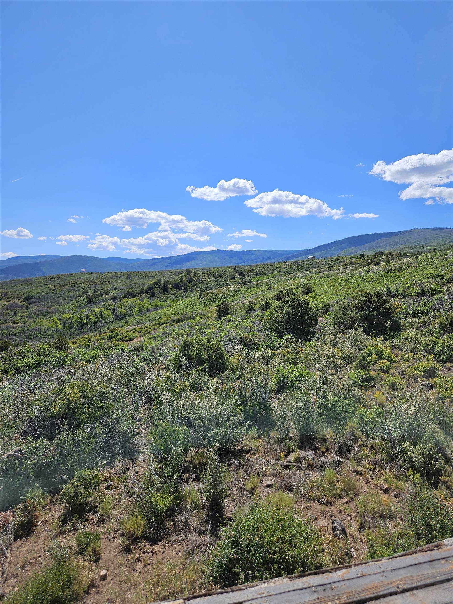 Tbd Bull Basin Road Property Photo 14