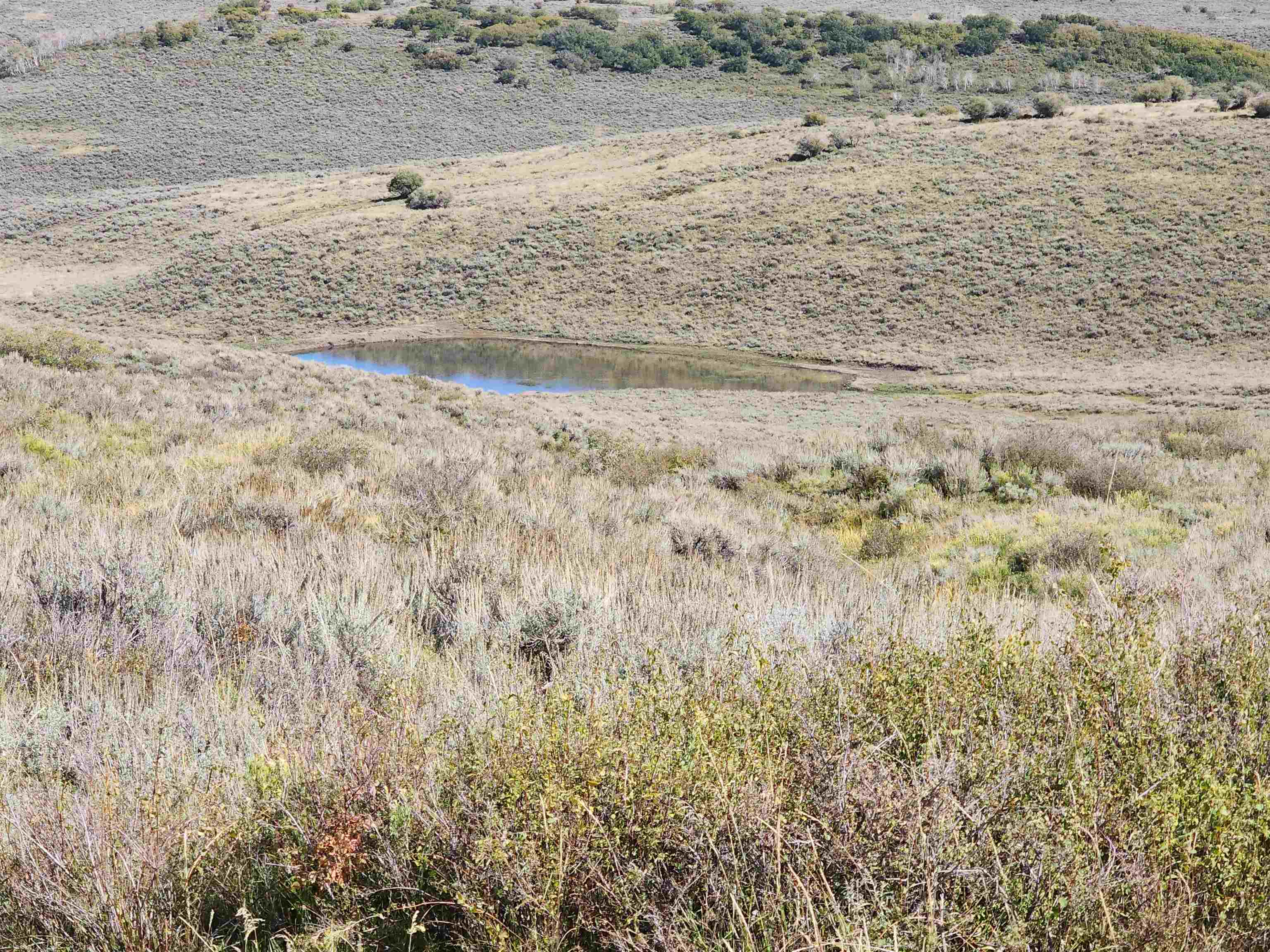 Tbd Divide Road Property Photo 2