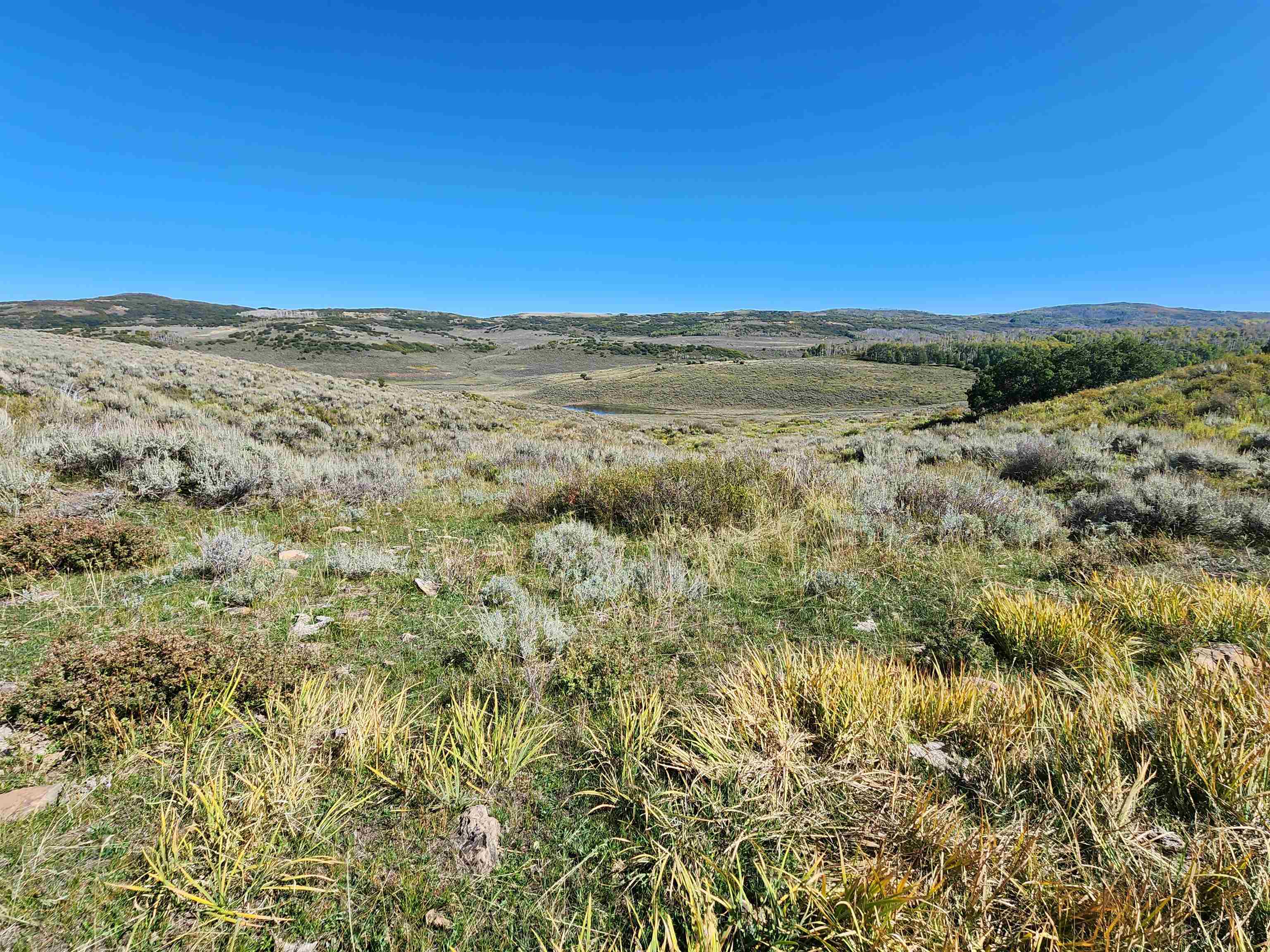 Tbd Divide Road Property Photo 3