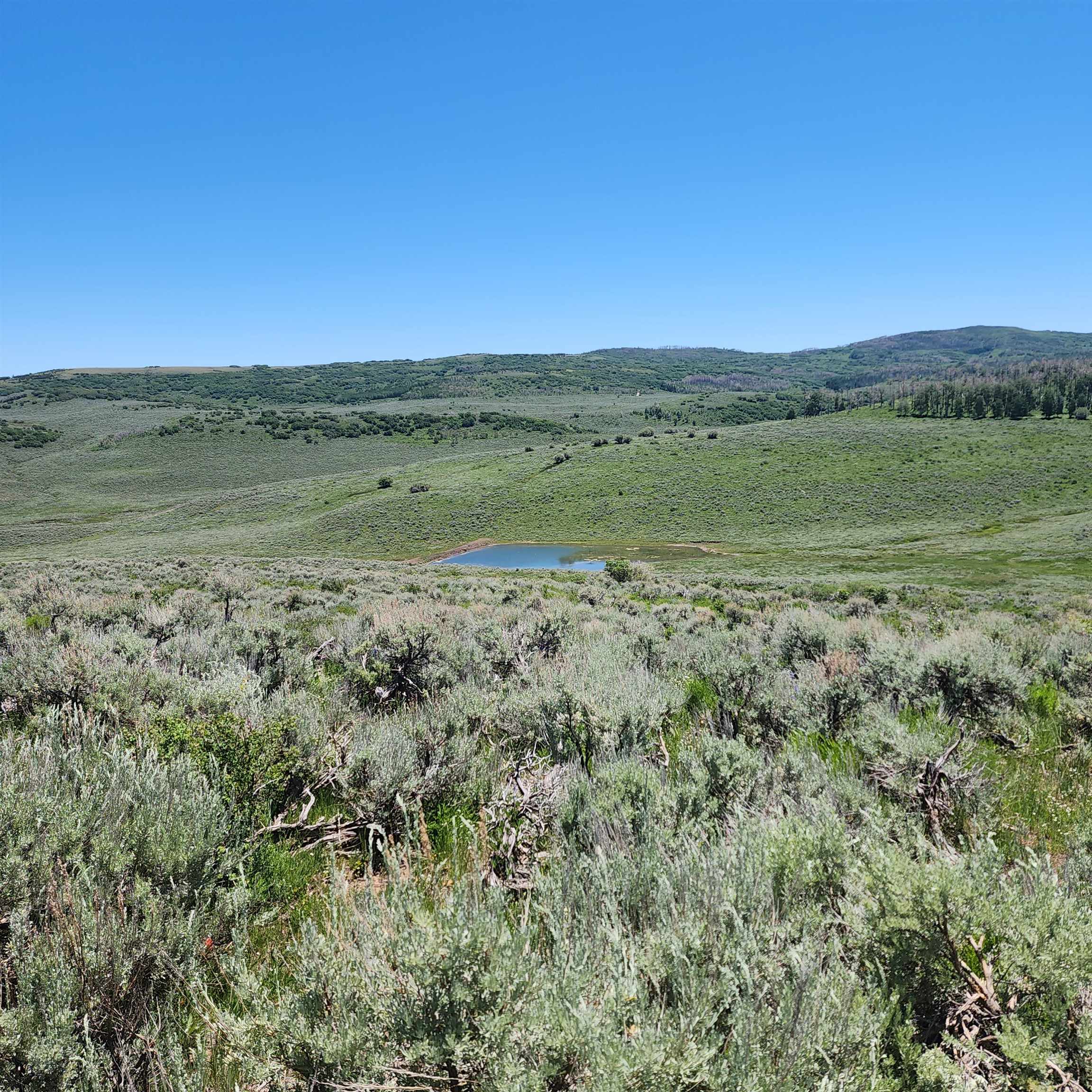 Tbd Divide Road Property Photo 4