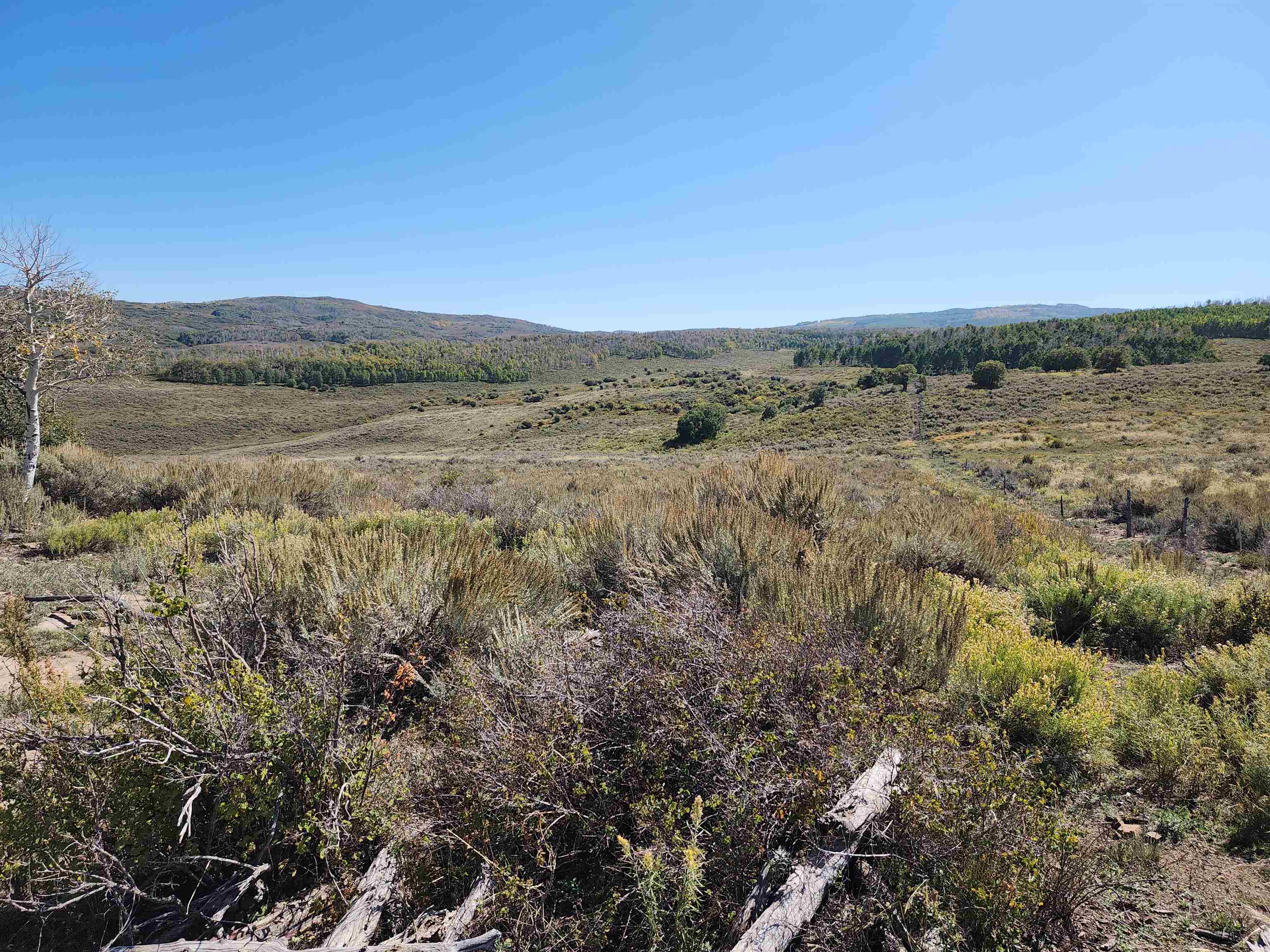 Tbd Divide Road Property Photo 5