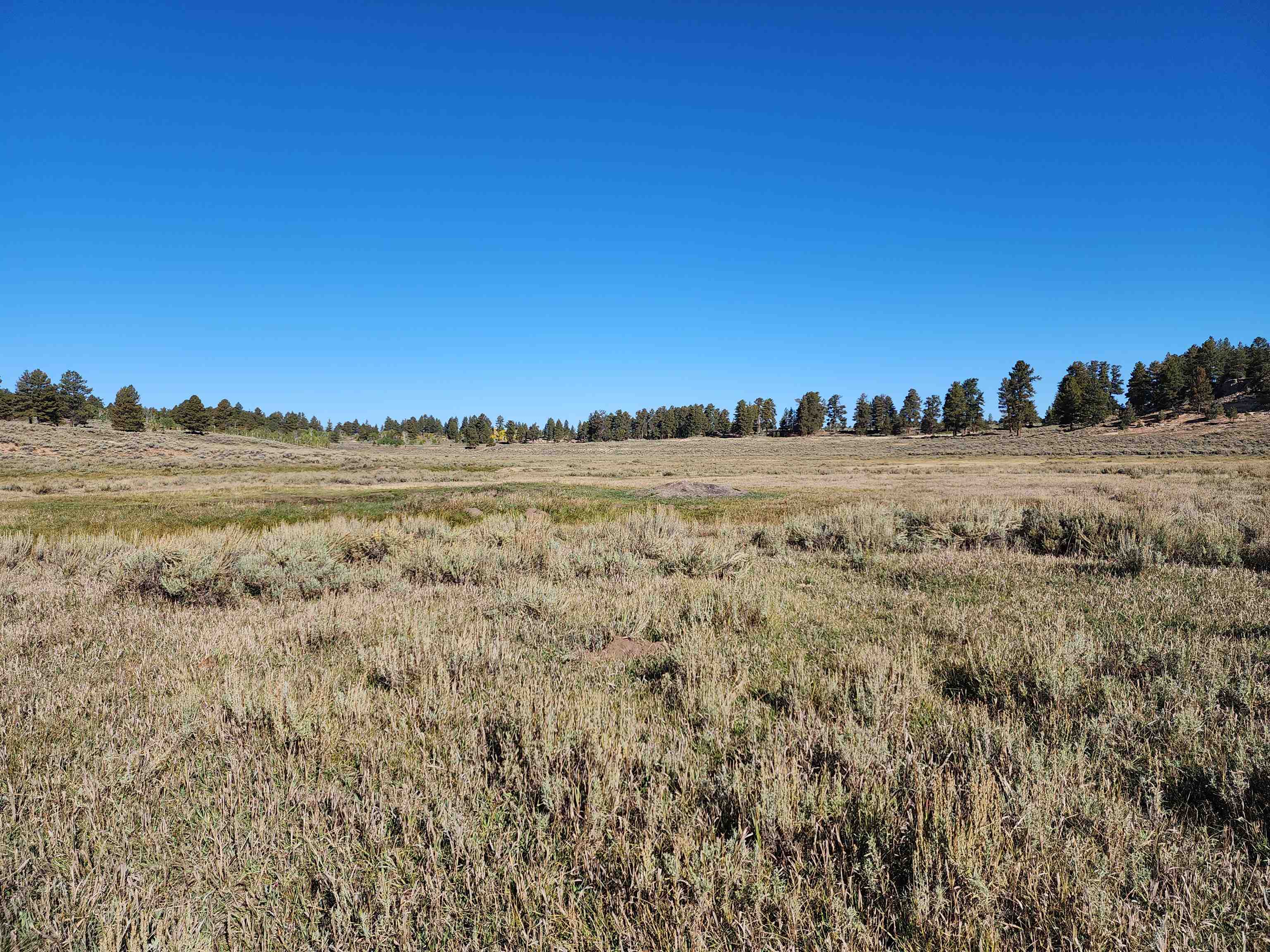 Tbd Divide Road Property Photo 3