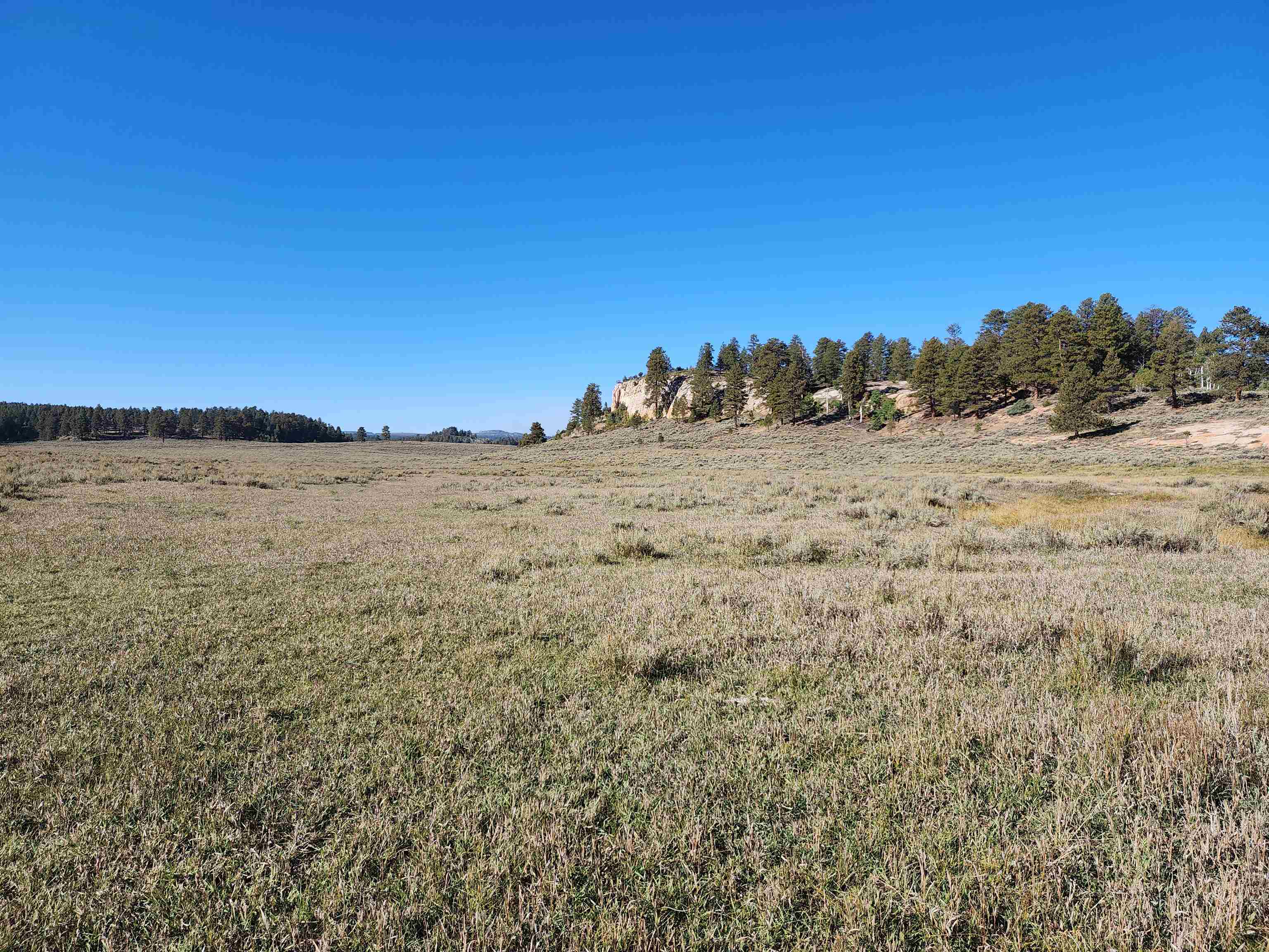 Tbd Divide Road Property Photo 4