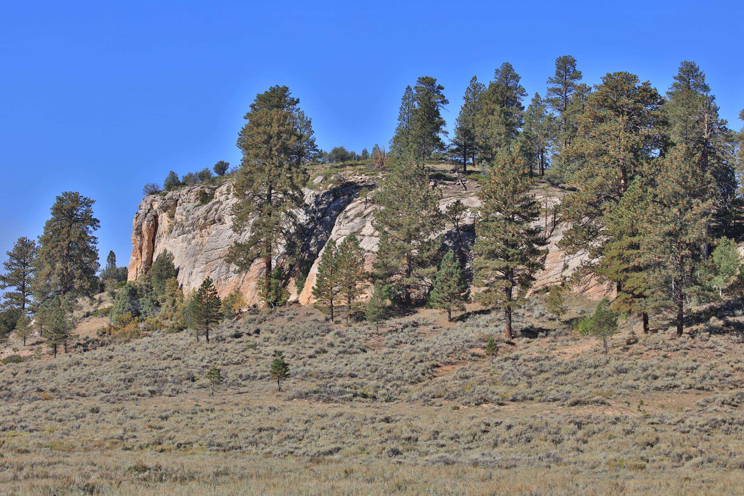Tbd Divide Road Property Photo 5
