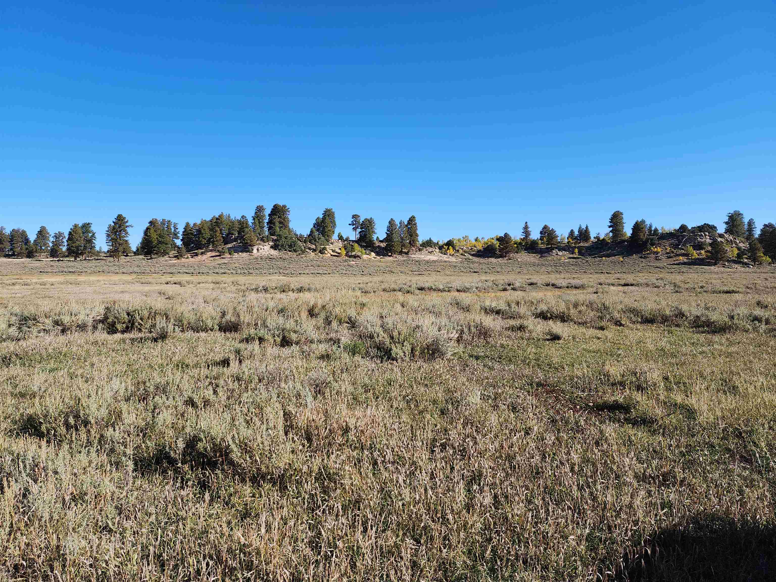 Tbd Divide Road Property Photo 6