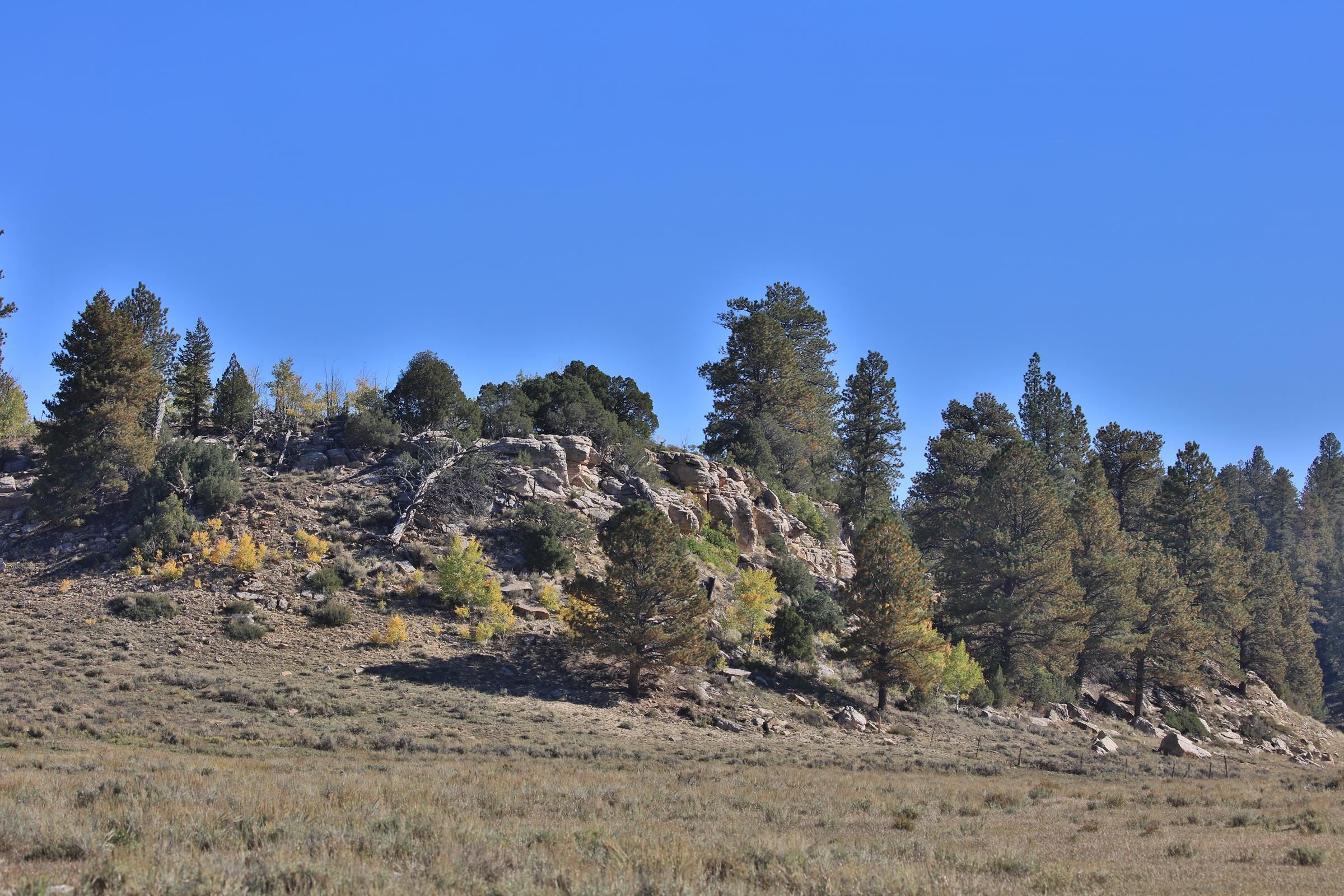 Tbd Divide Road Property Photo 7
