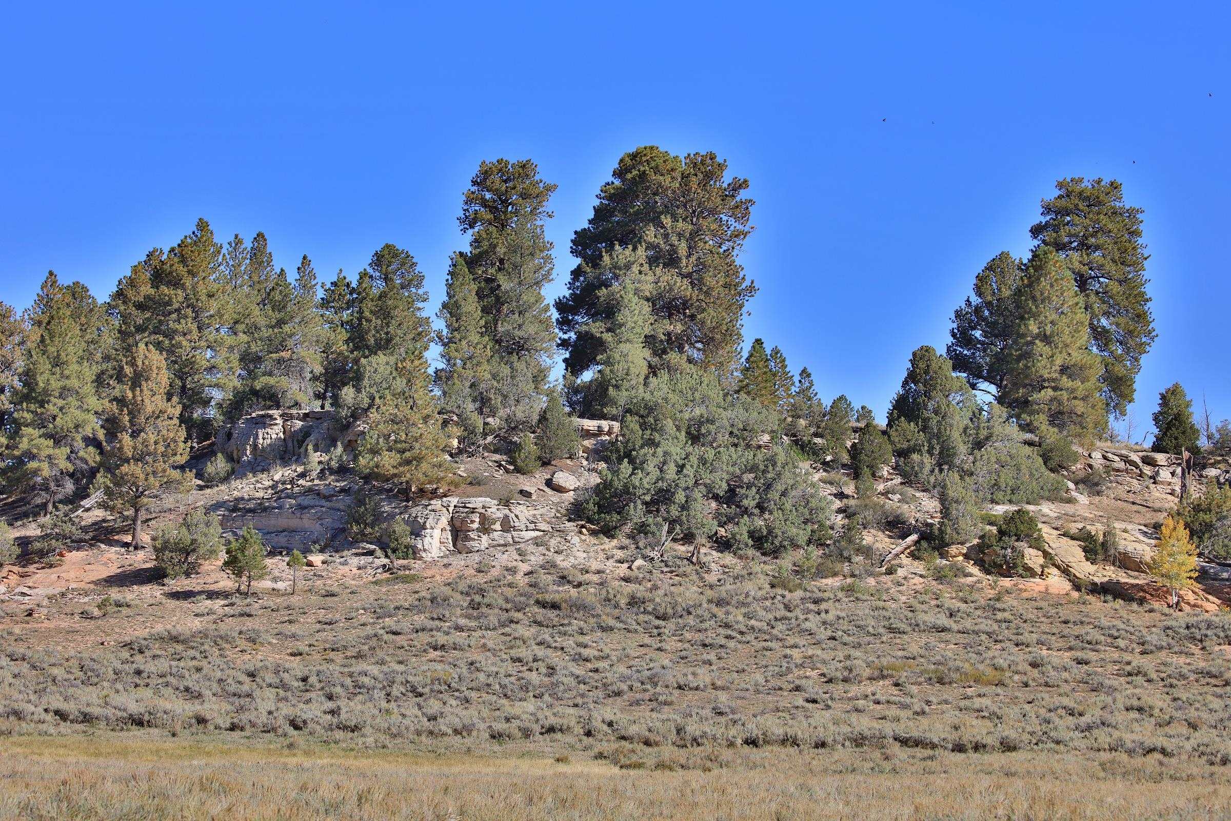 Tbd Divide Road Property Photo 8