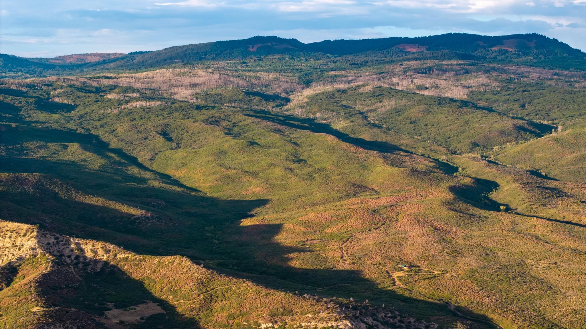 000 Currant Creek Road Property Photo 1