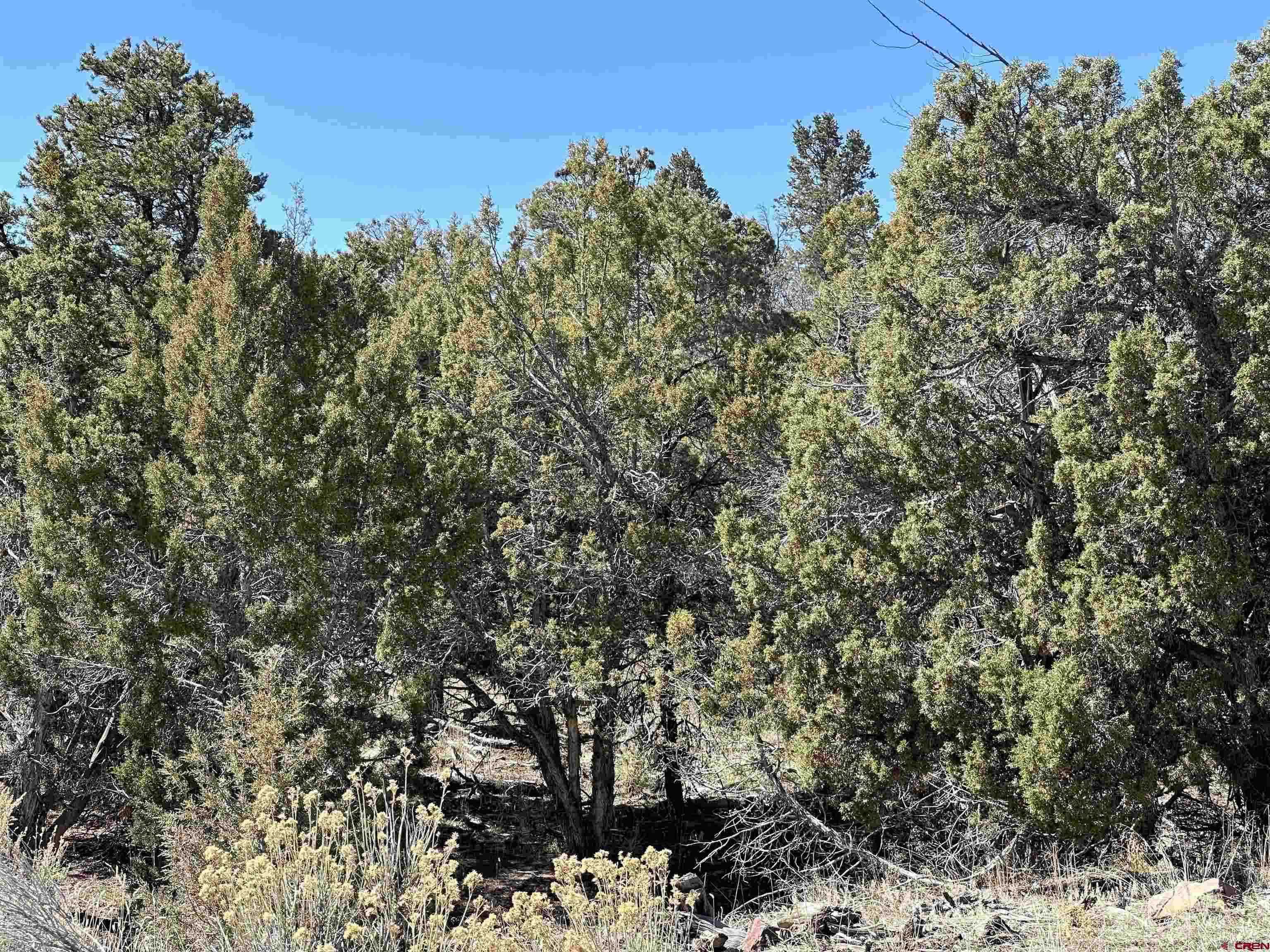 38.06 Tbd Property Photo 2