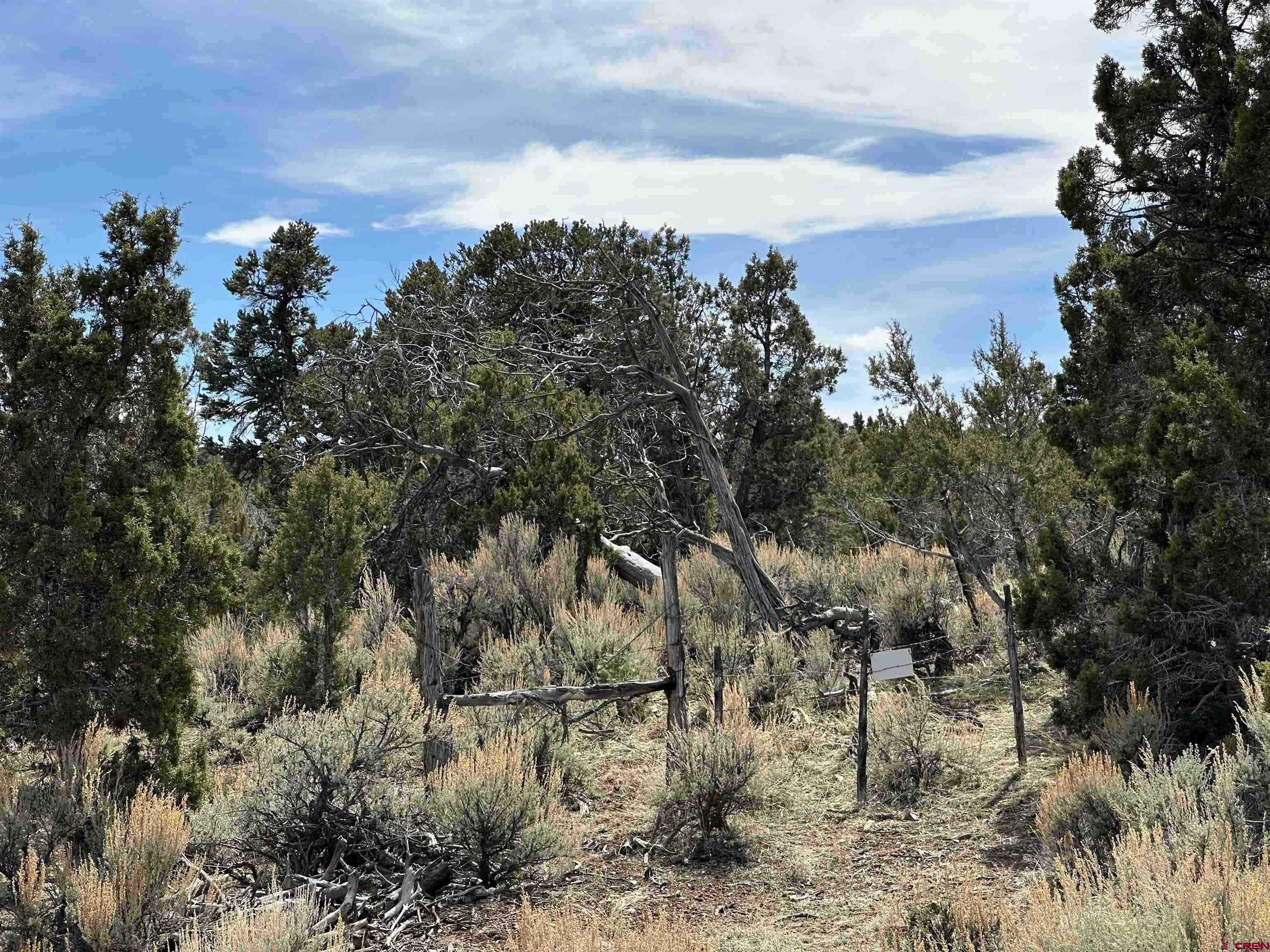 38.06 Tbd Property Photo 5
